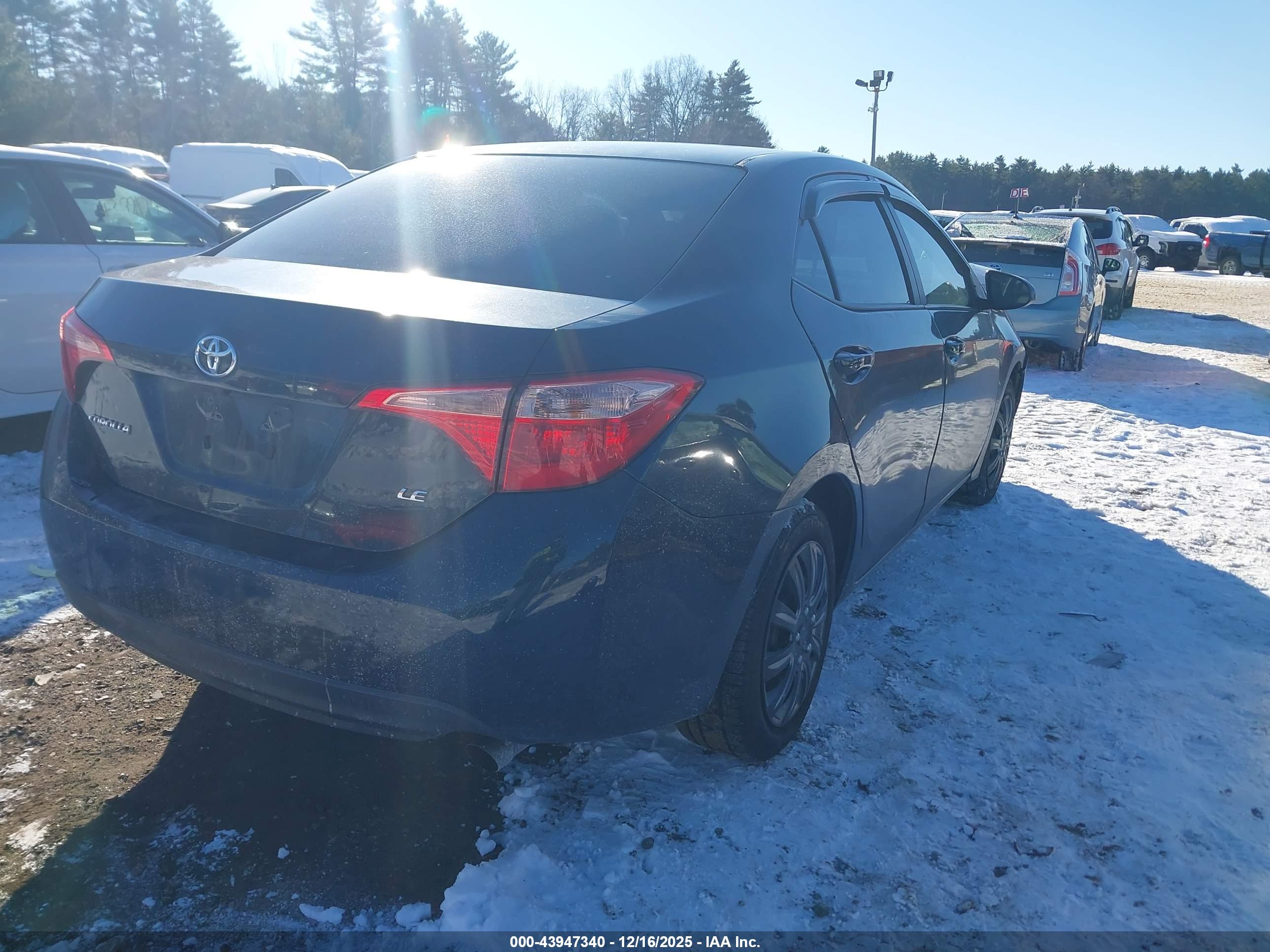 TOYOTA COROLLA image 4