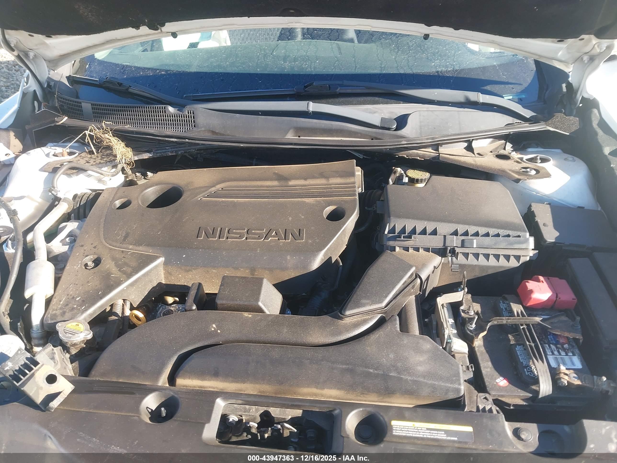 NISSAN ALTIMA image 10