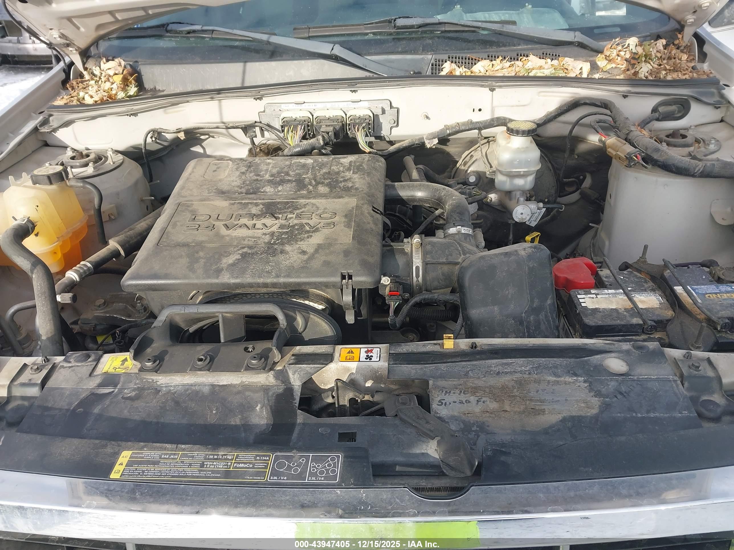 FORD ESCAPE image 10