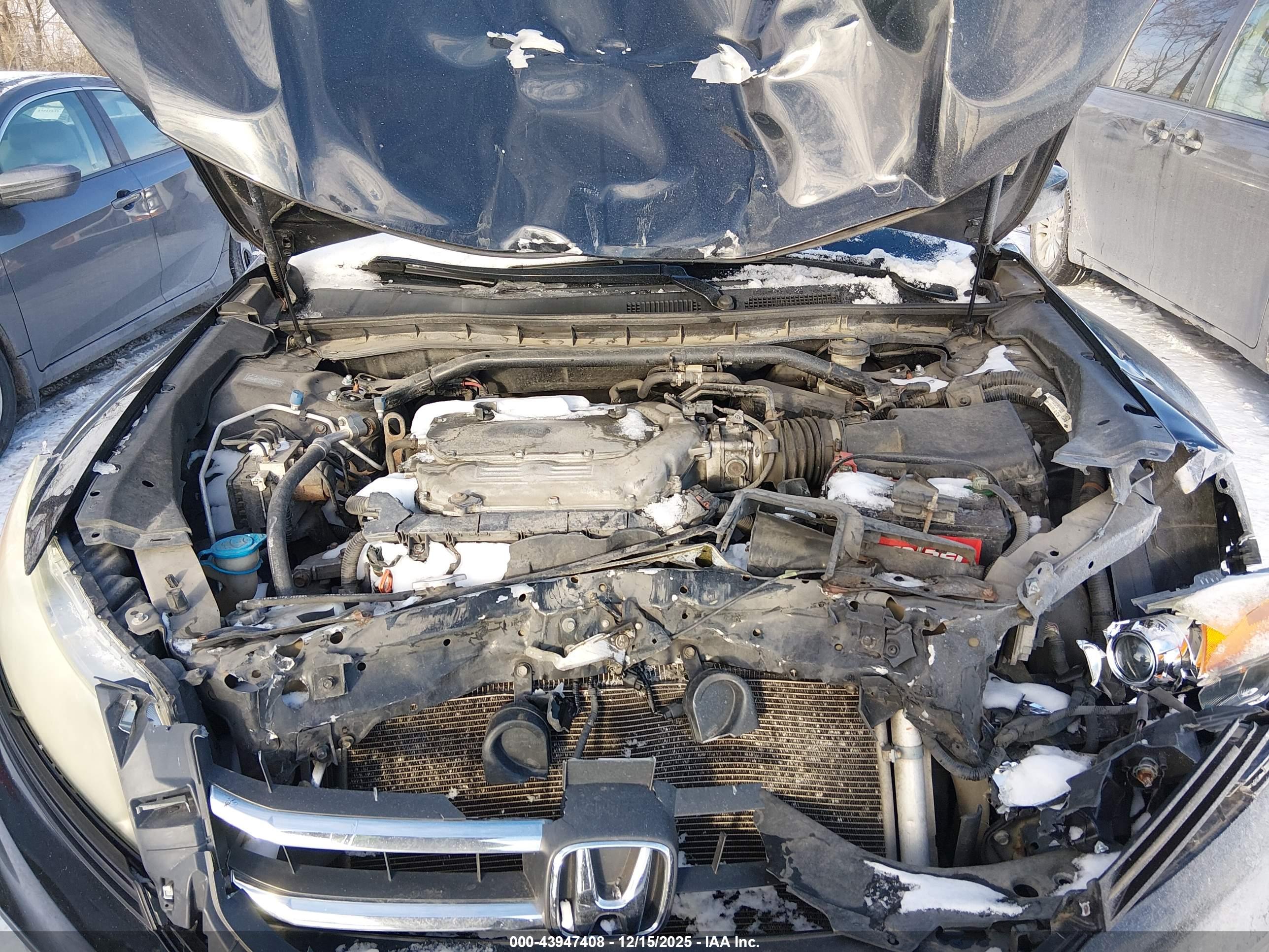 HONDA CROSSTOUR image 10