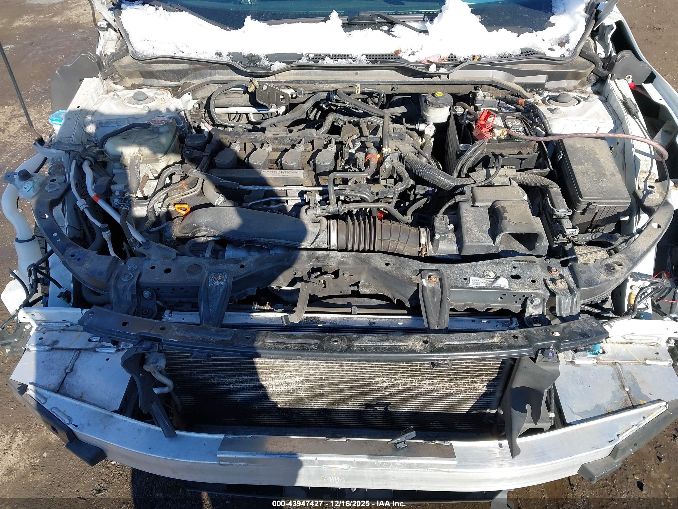 HONDA CIVIC image 10