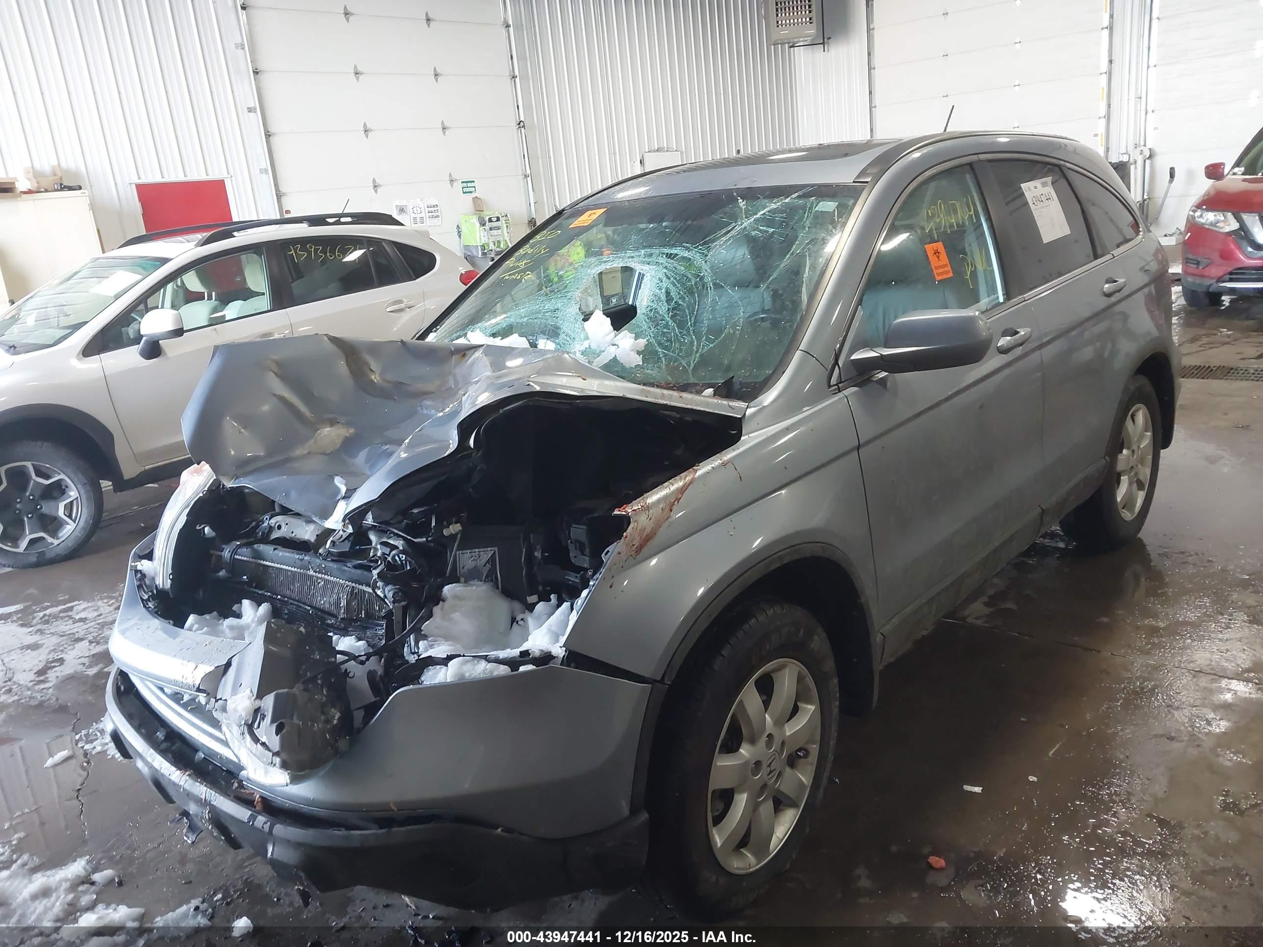 HONDA CR-V image 6