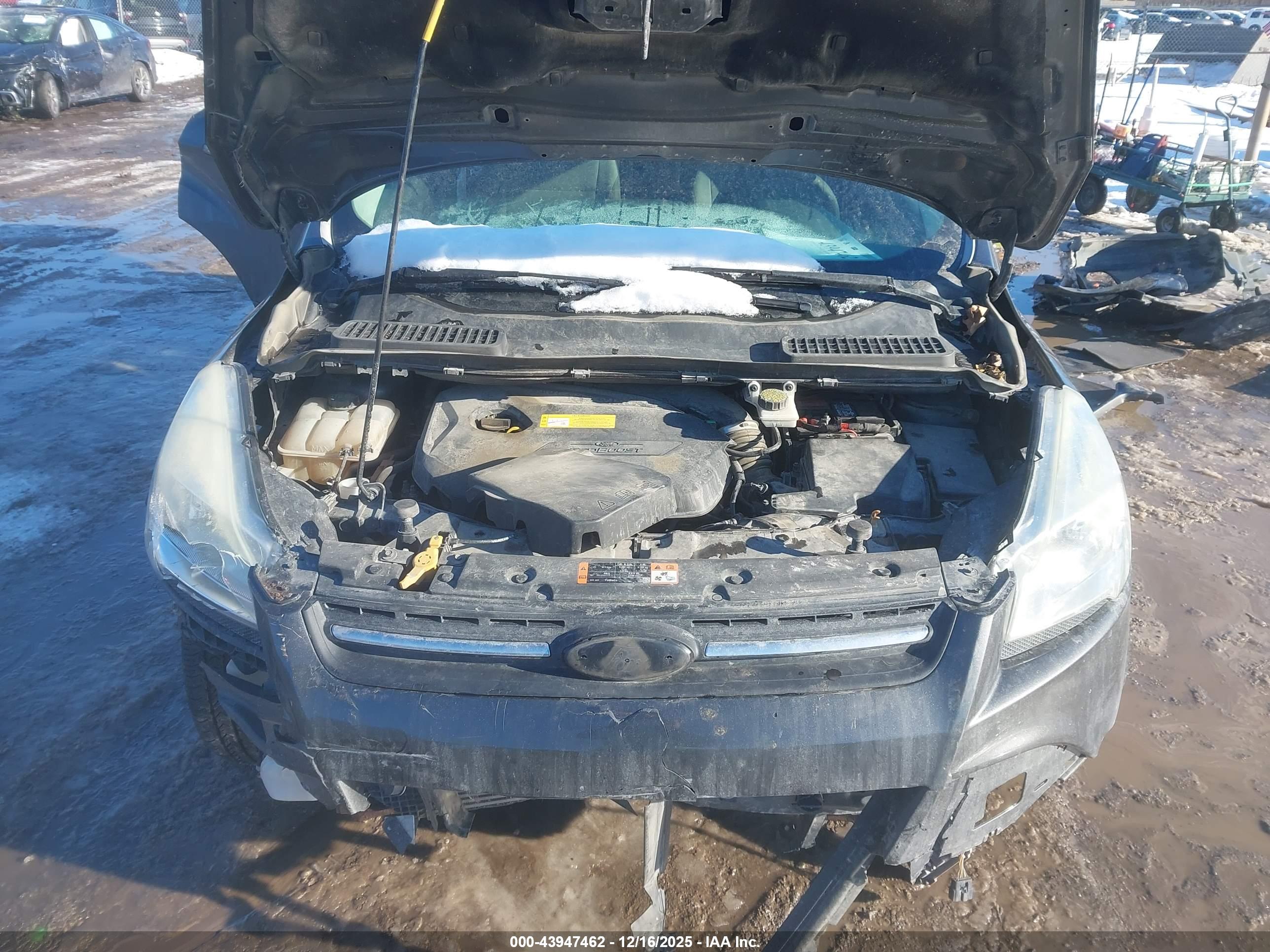 FORD ESCAPE image 10