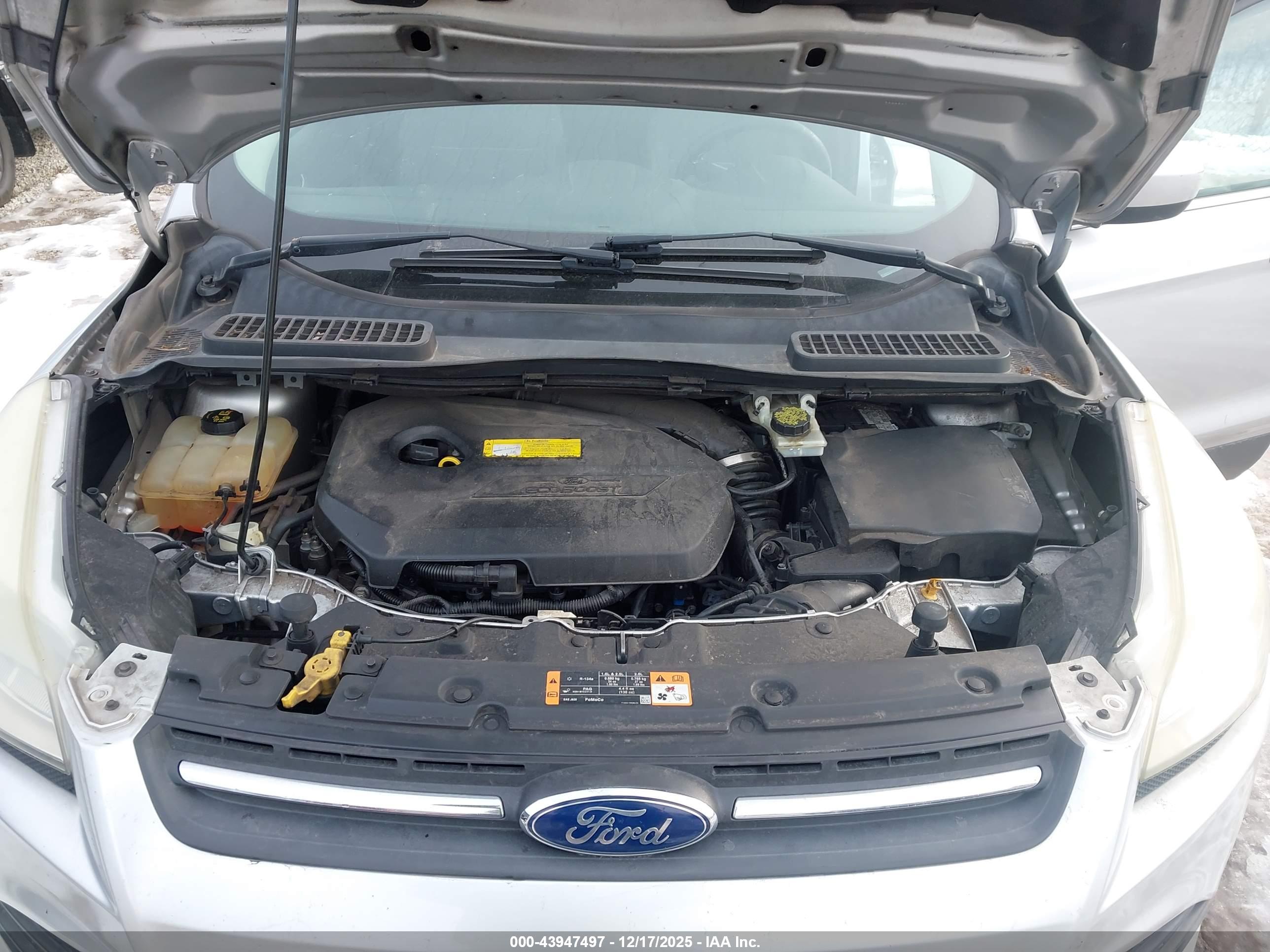 FORD ESCAPE image 10