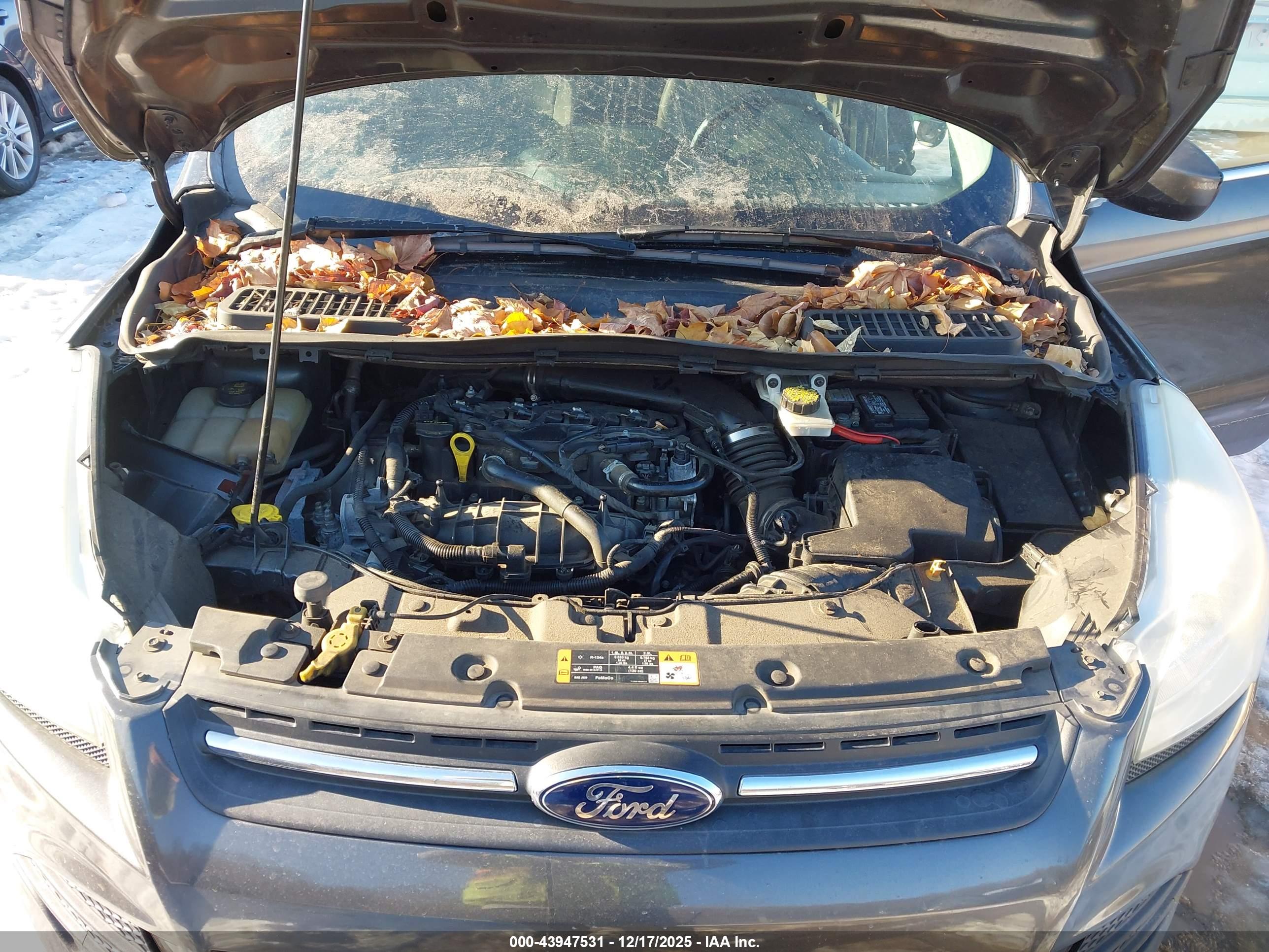 FORD ESCAPE image 10