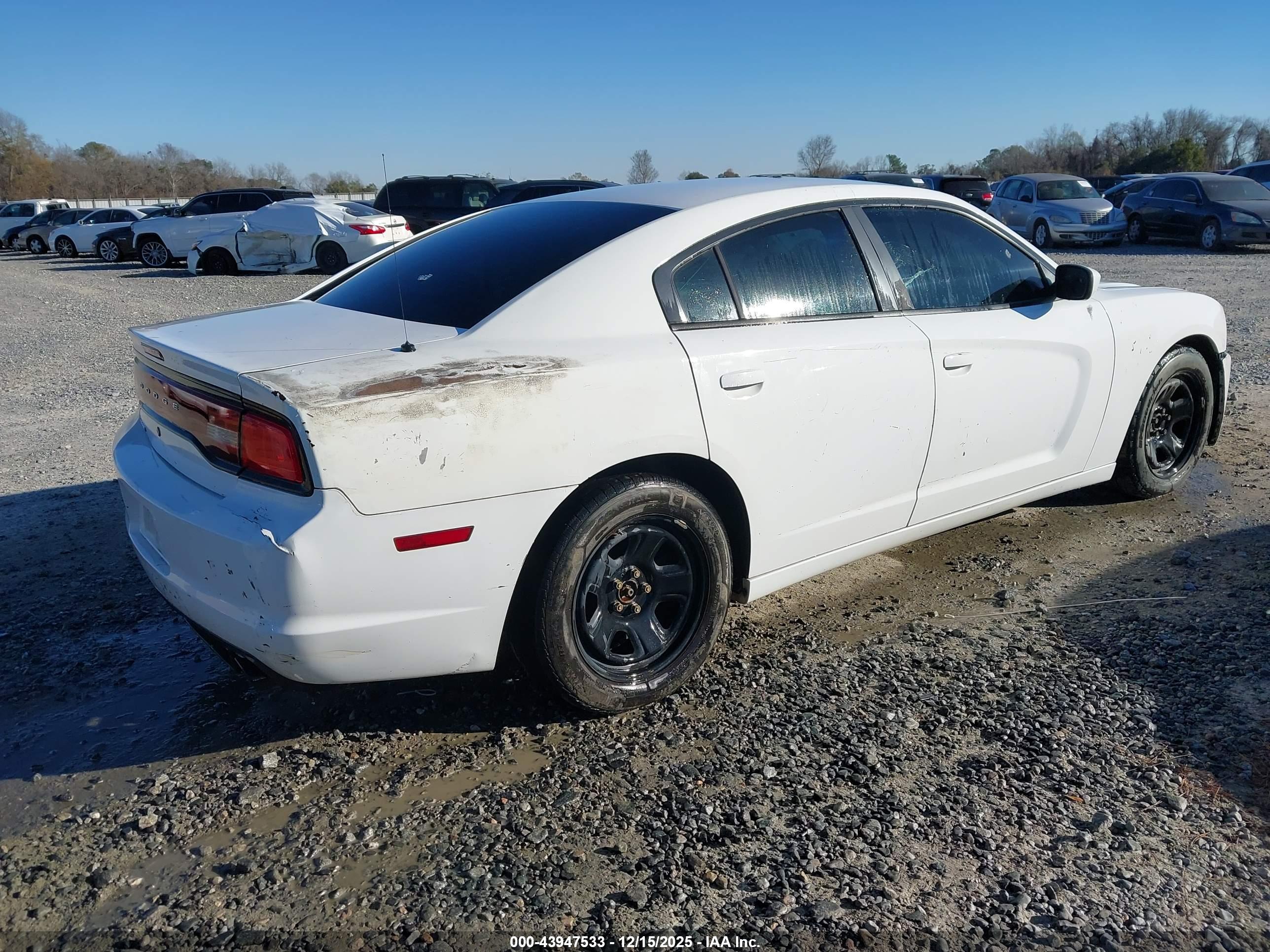 DODGE CHARGER image 4