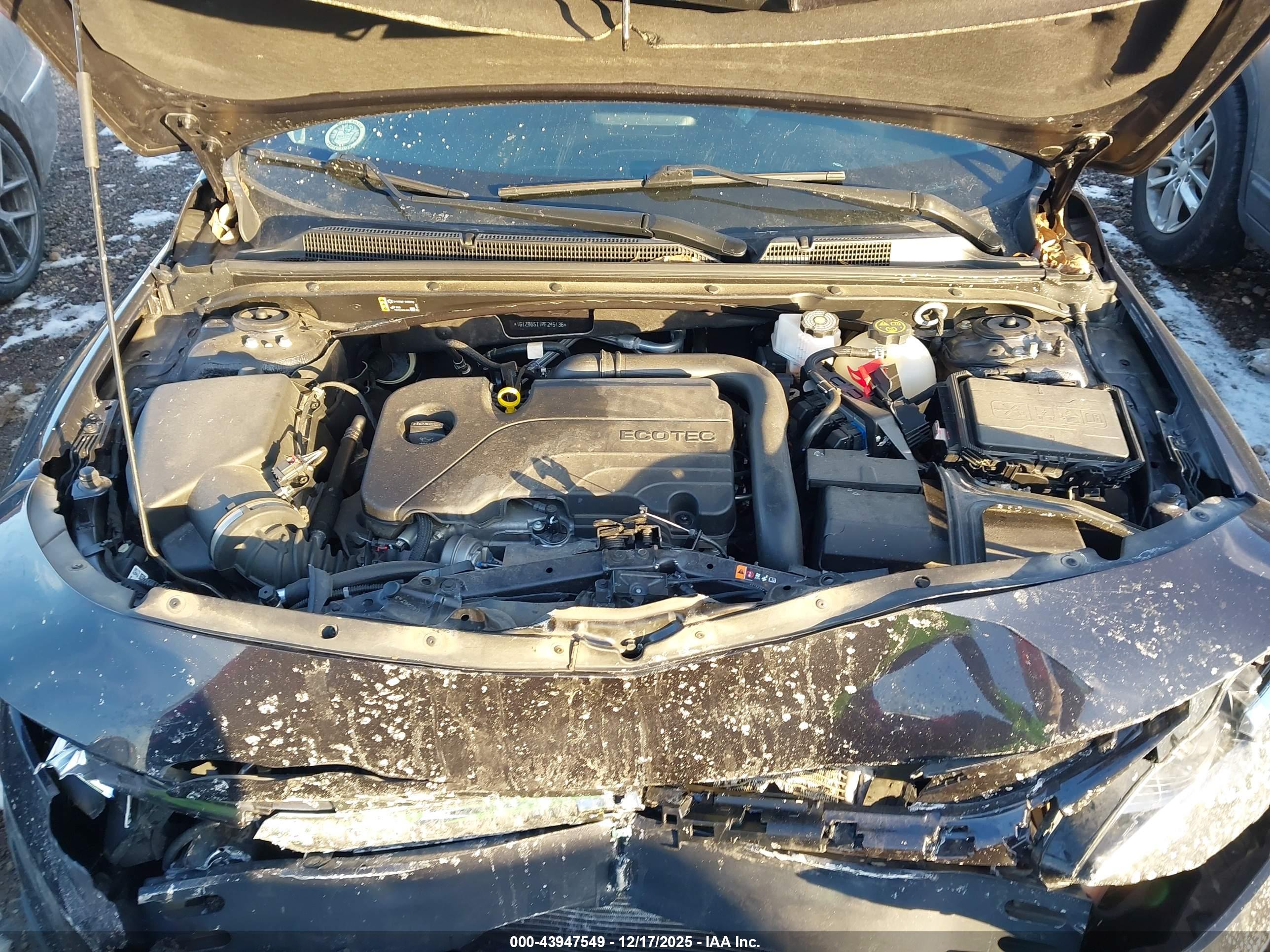 CHEVROLET MALIBU image 10