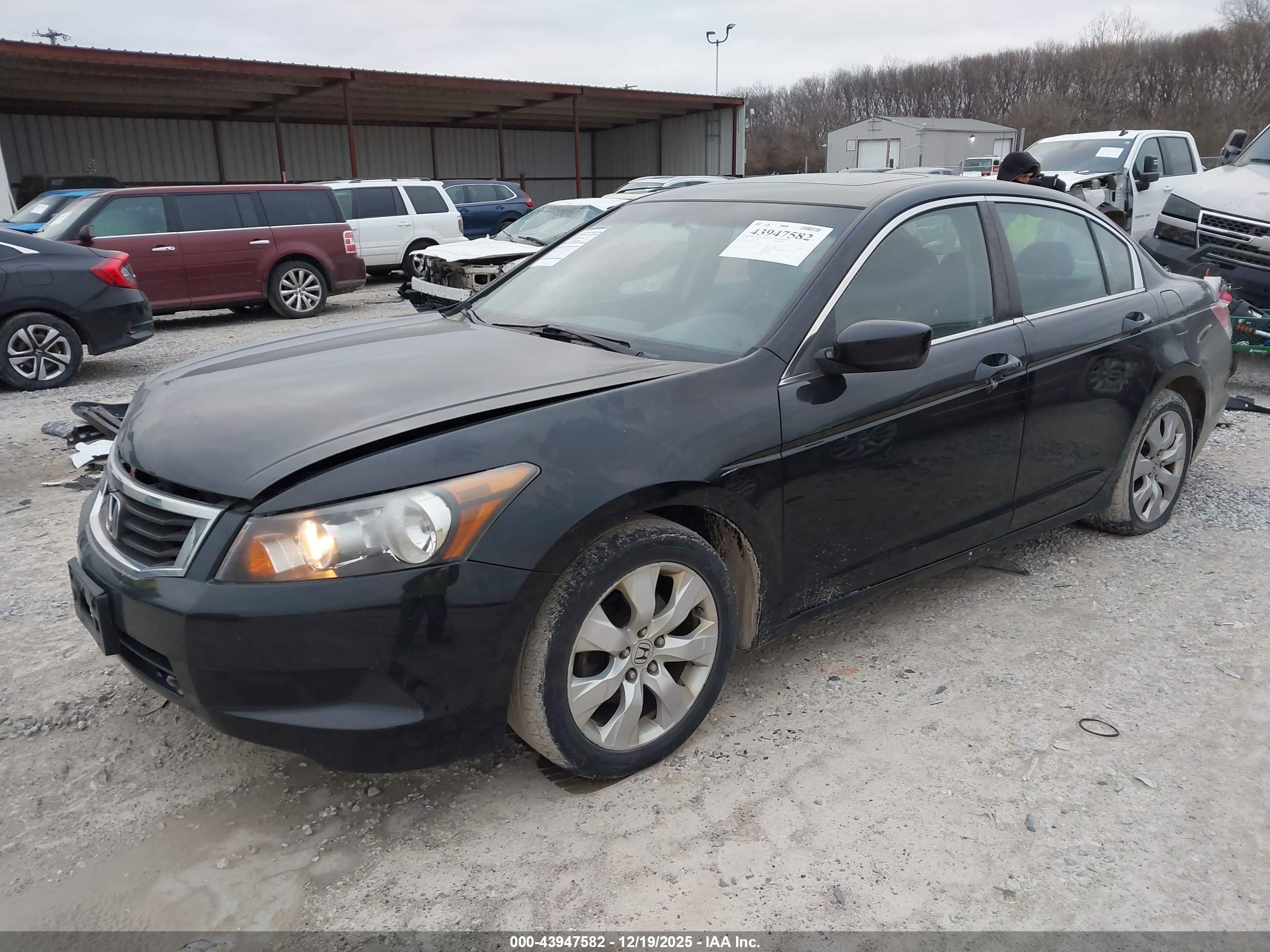 HONDA ACCORD image 2