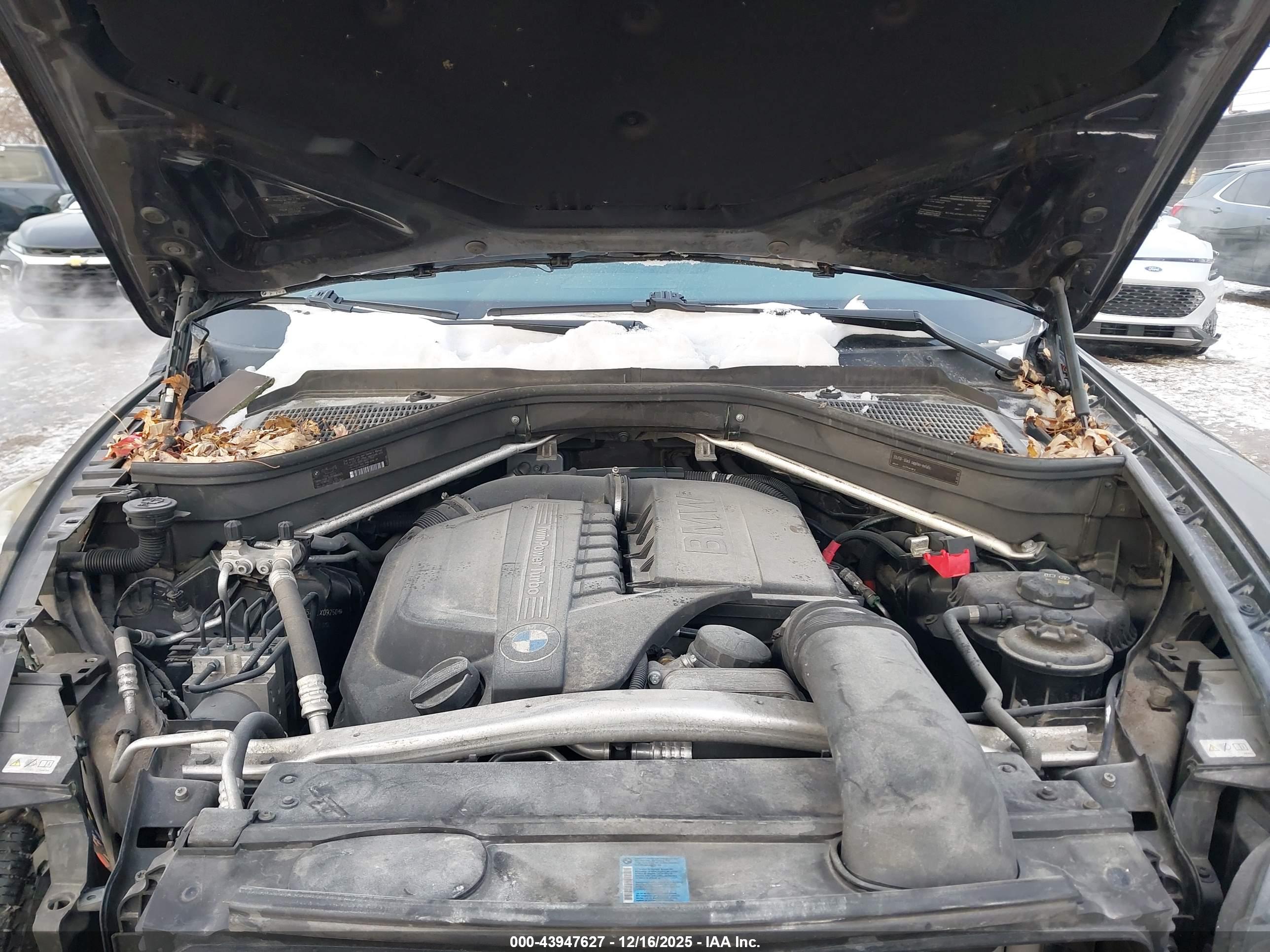 BMW X6 image 10