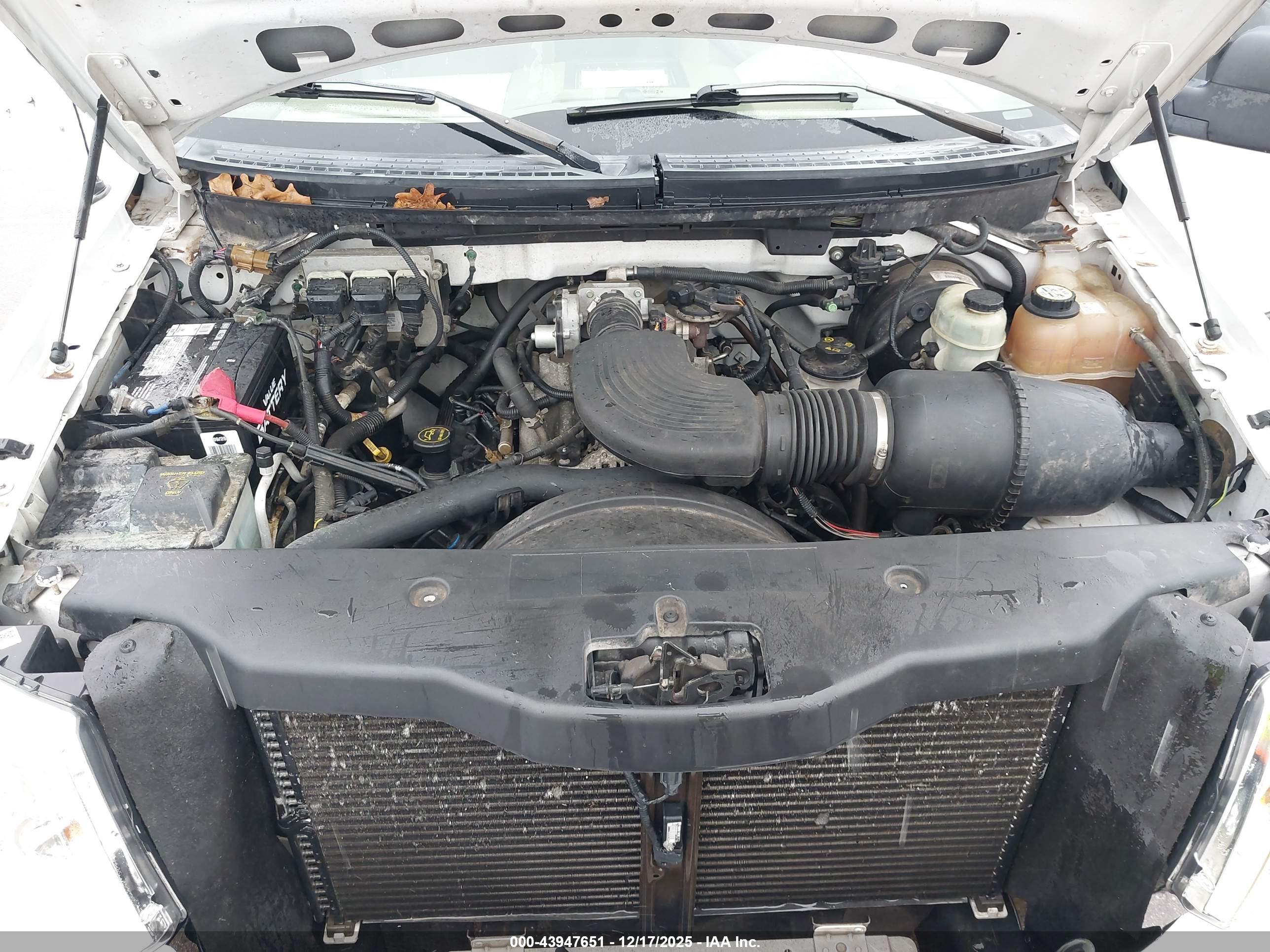 FORD F-150 image 10