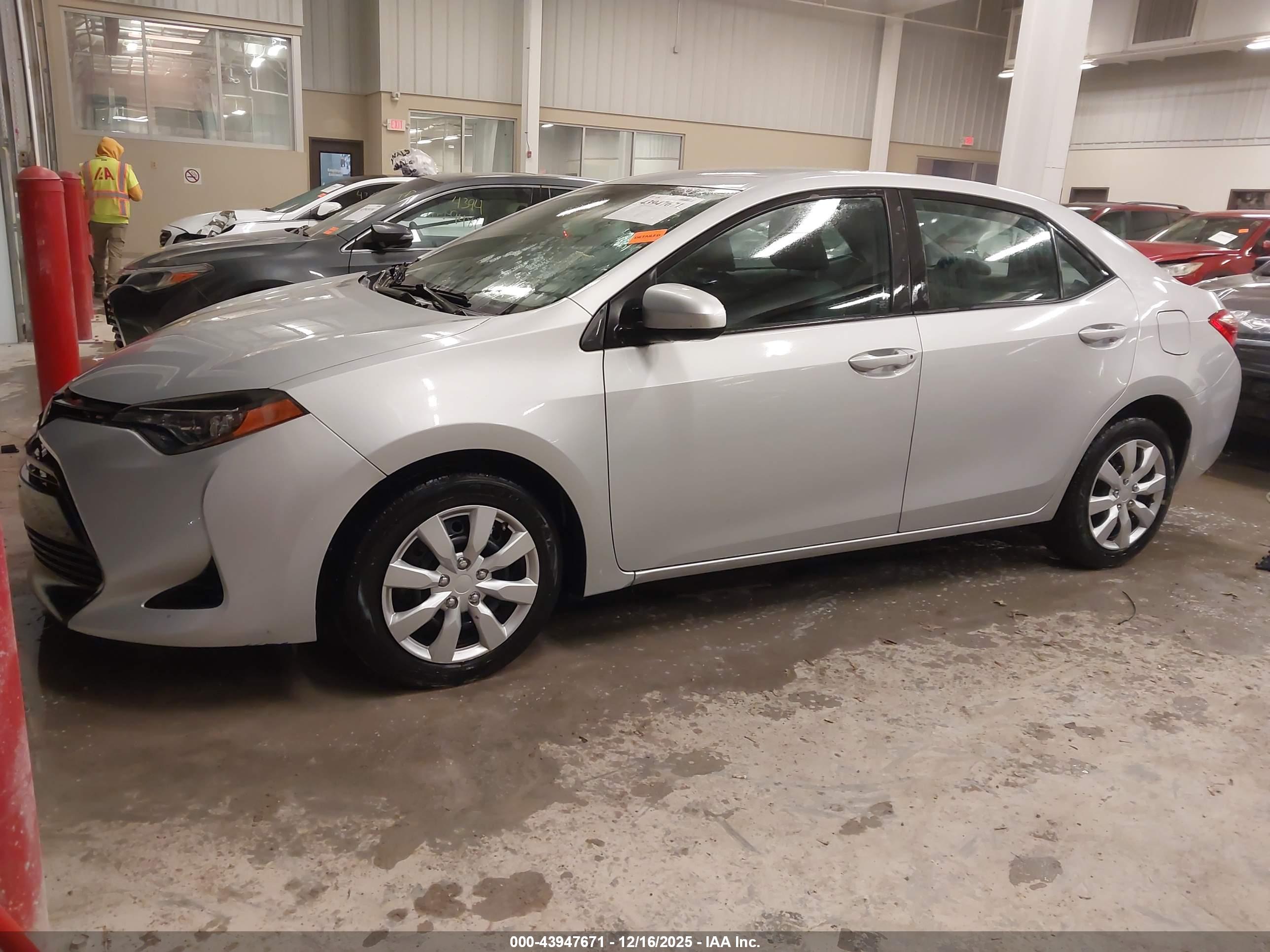 TOYOTA COROLLA image 2