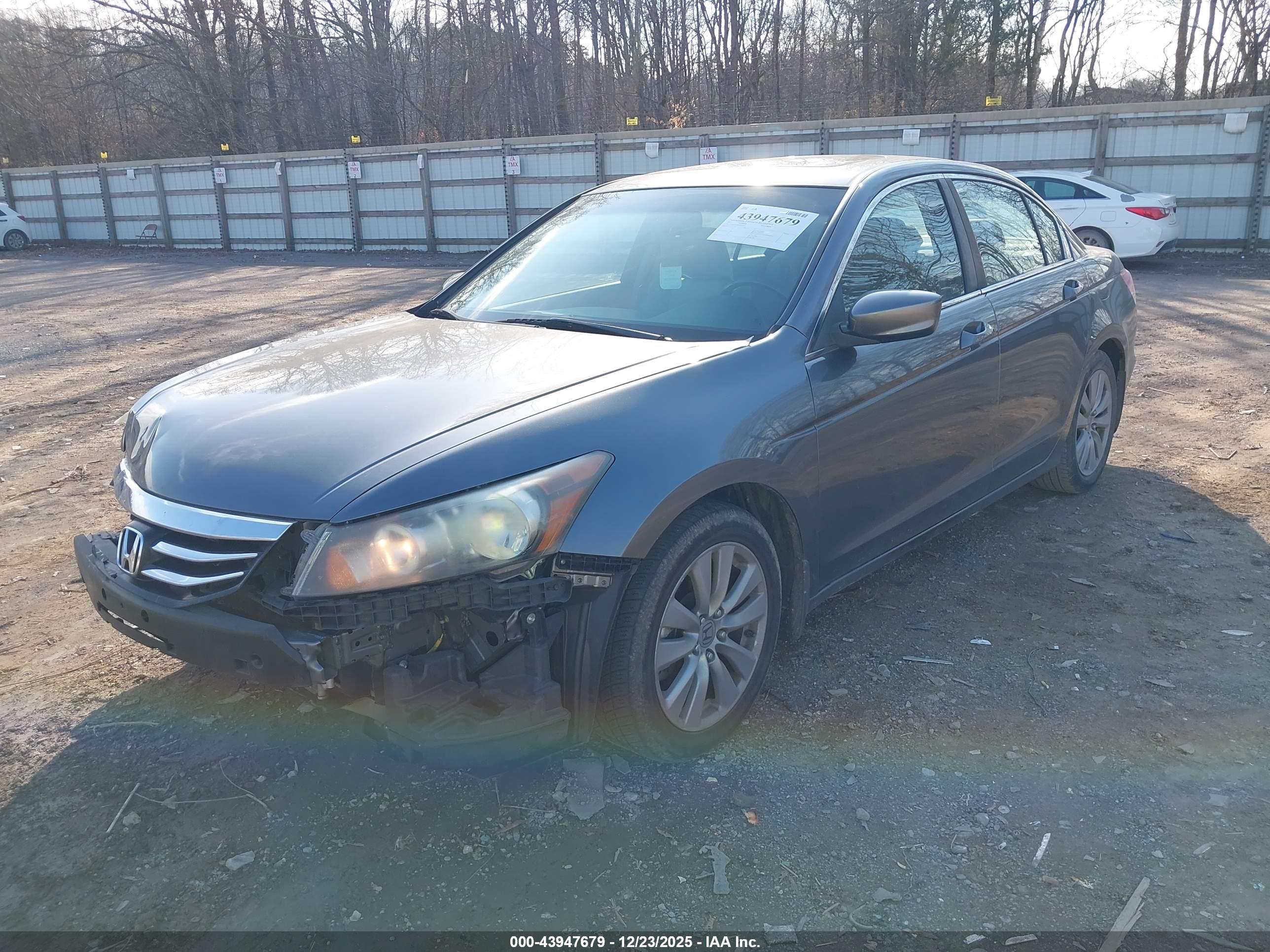 HONDA ACCORD image 2