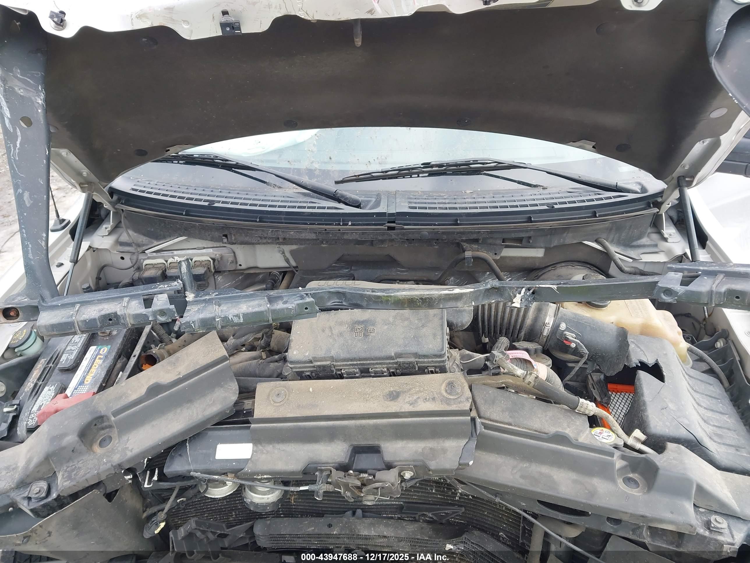 FORD F-150 image 10
