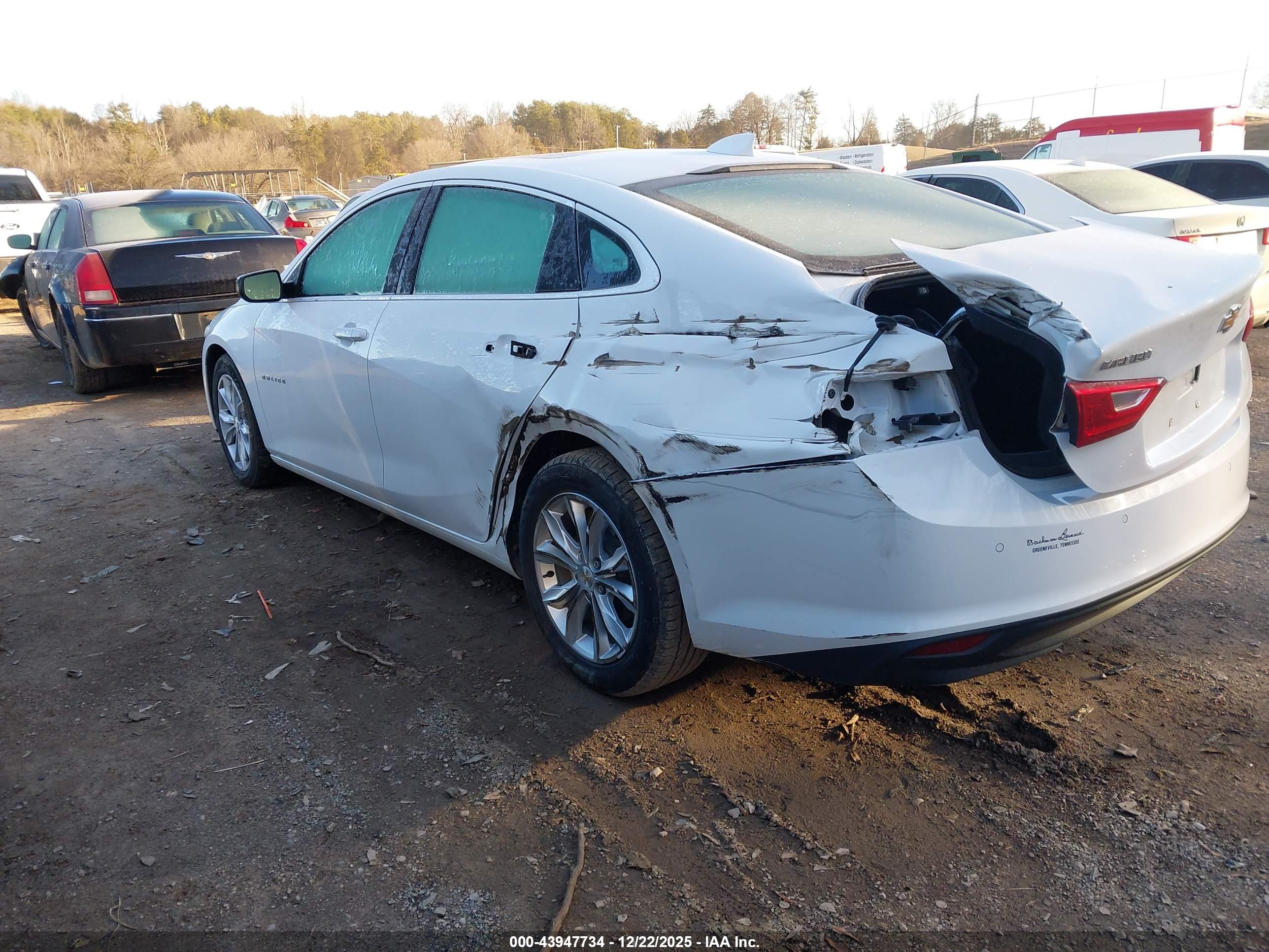 CHEVROLET MALIBU image 3