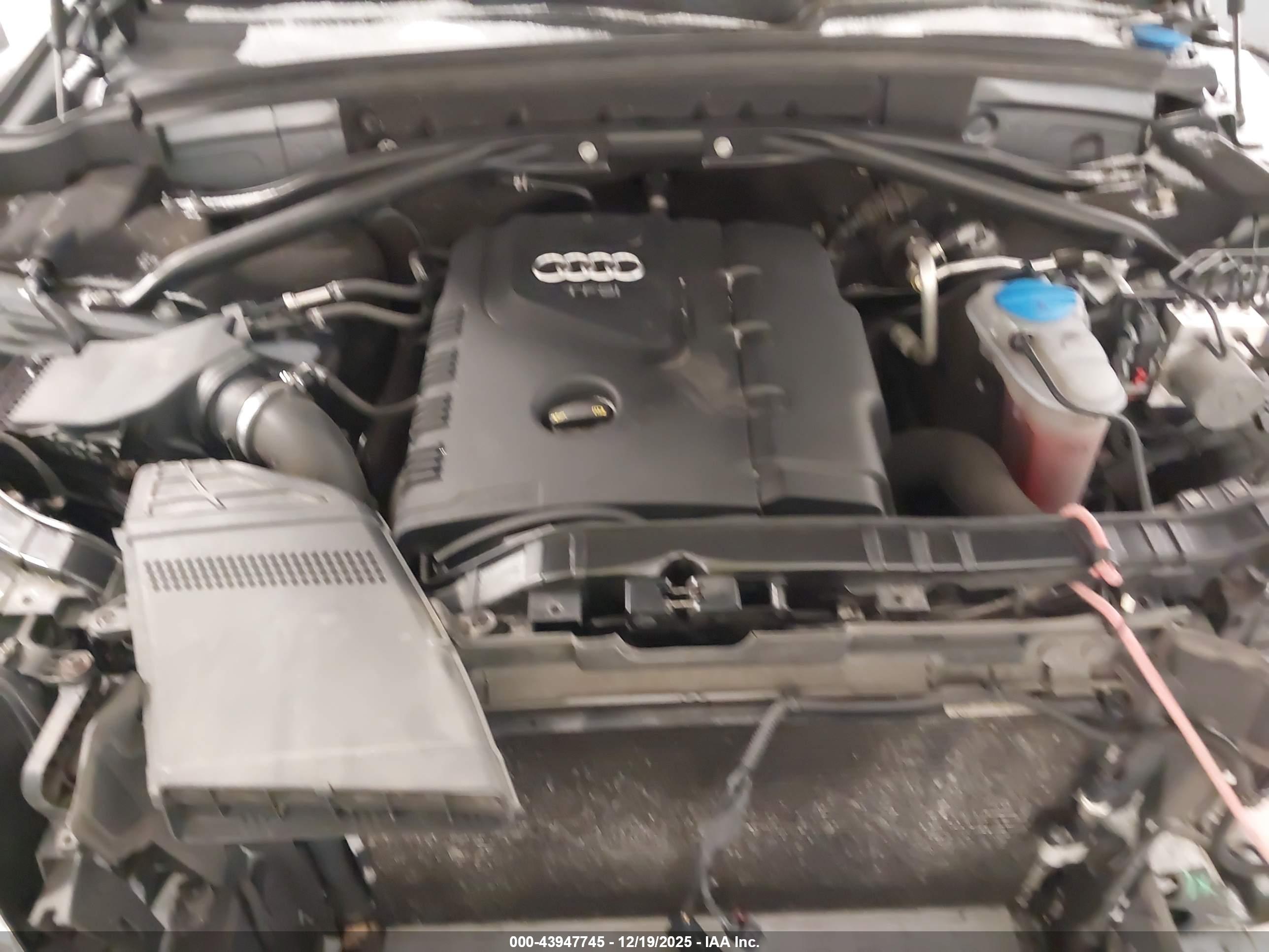 AUDI Q5 image 10