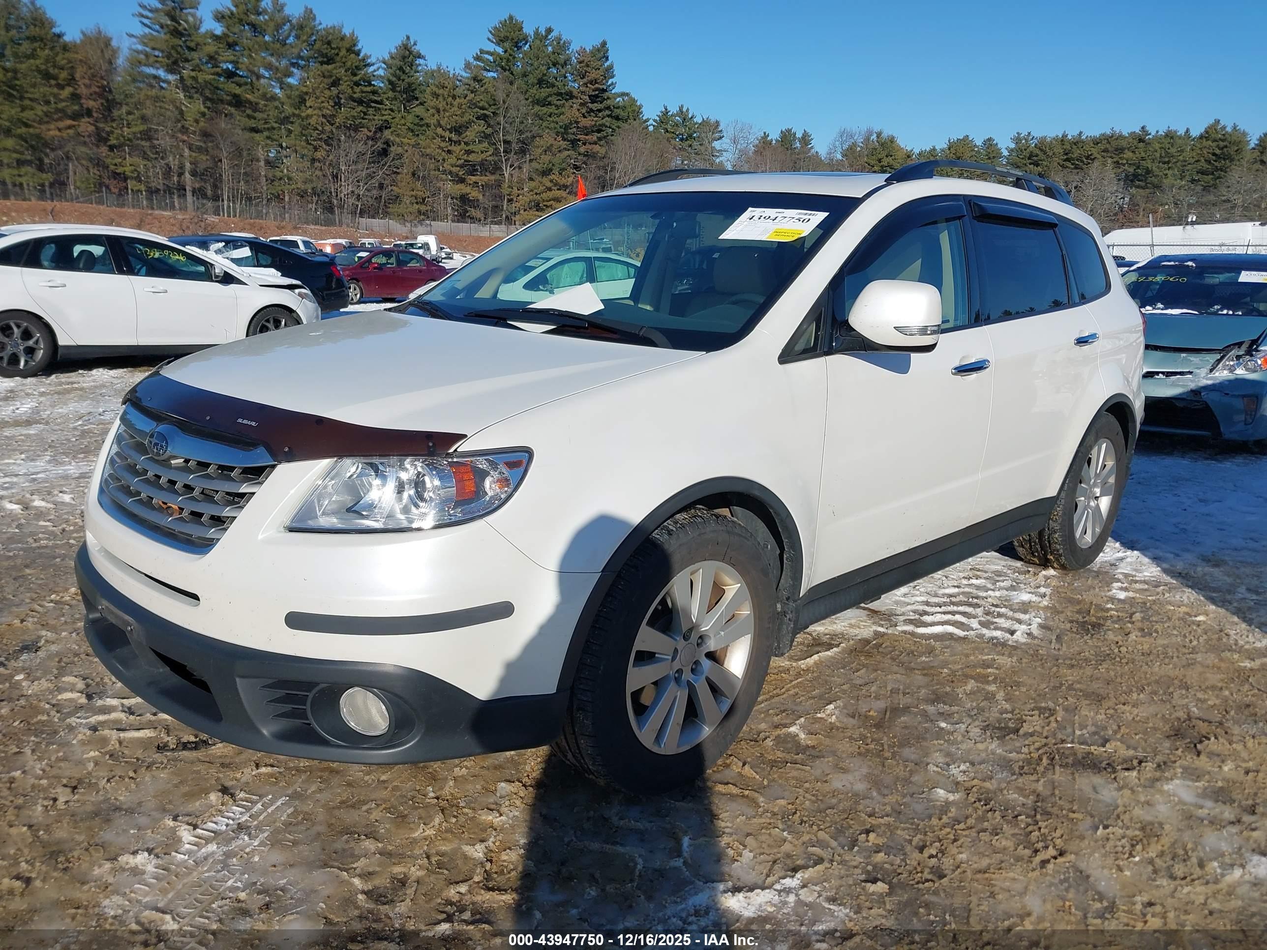 SUBARU TRIBECA image 2
