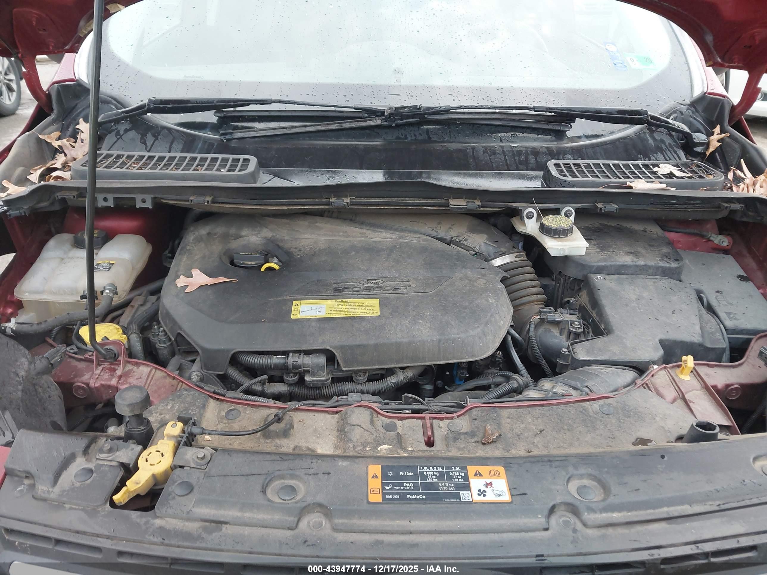 FORD ESCAPE image 10