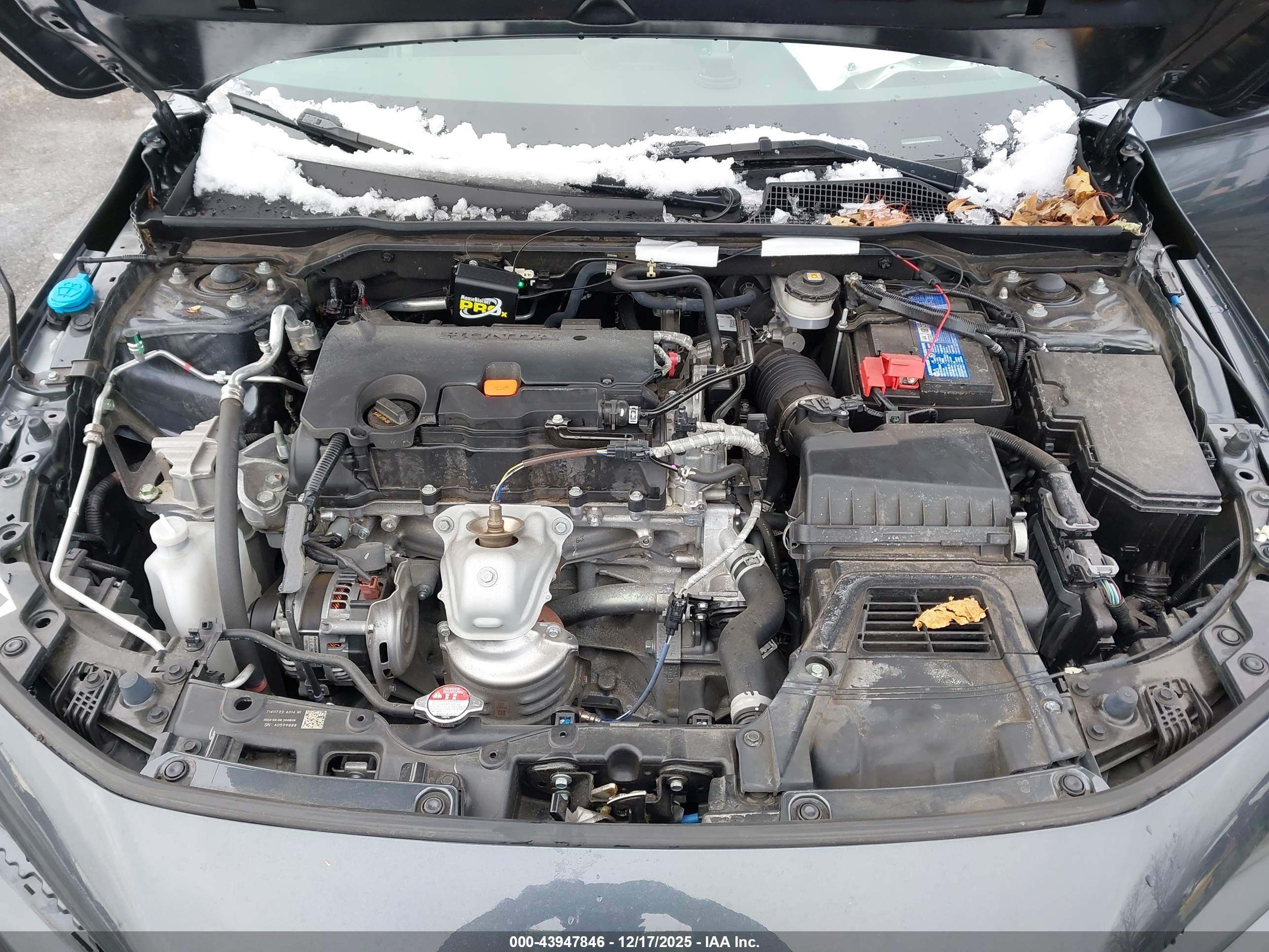 HONDA CIVIC image 10