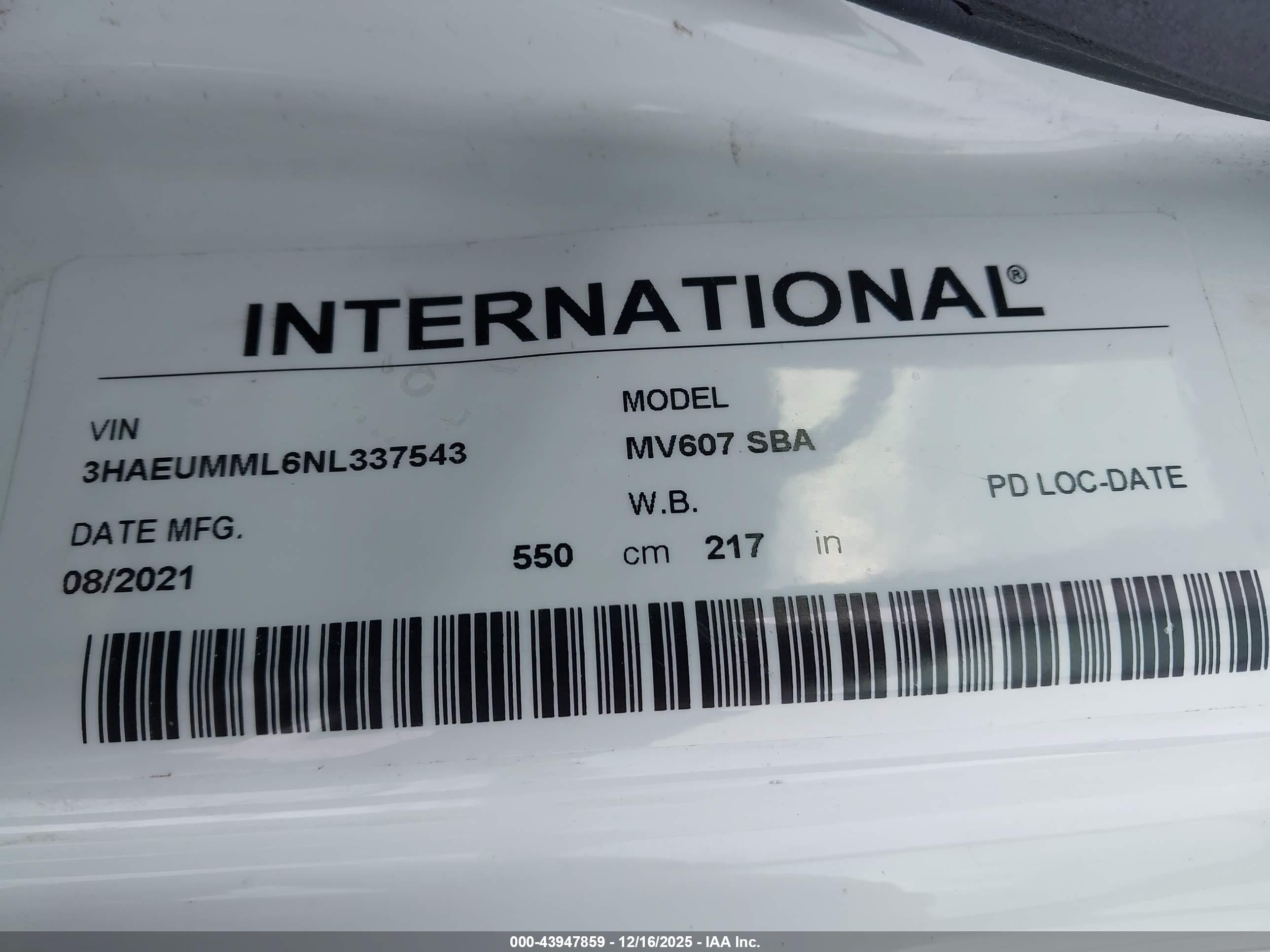 INTERNATIONAL MV image 9