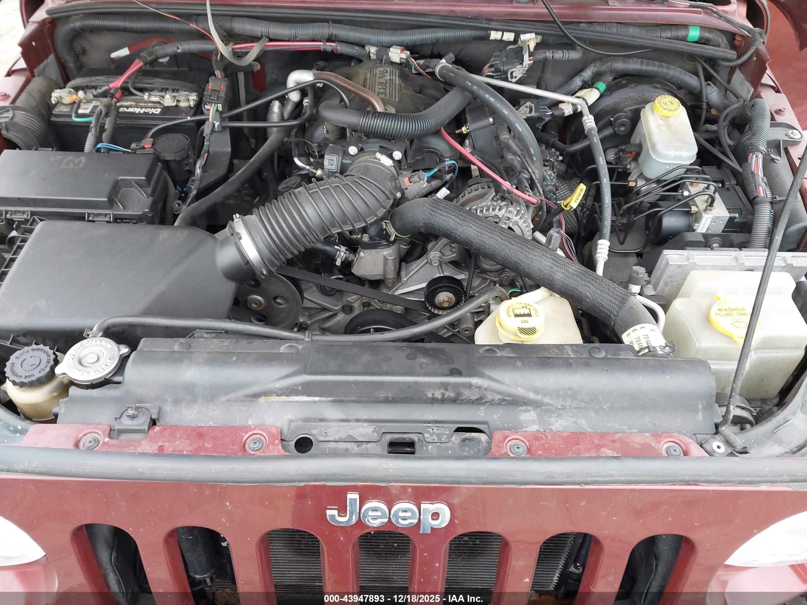 JEEP WRANGLER image 10