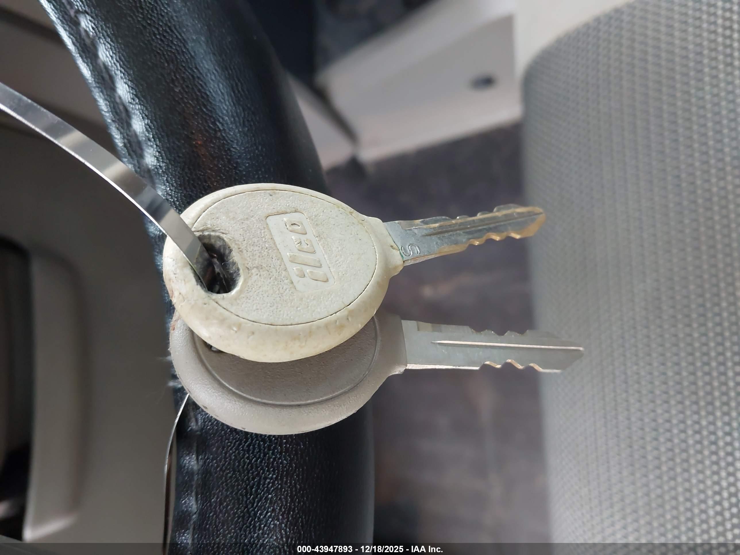 JEEP WRANGLER image 11
