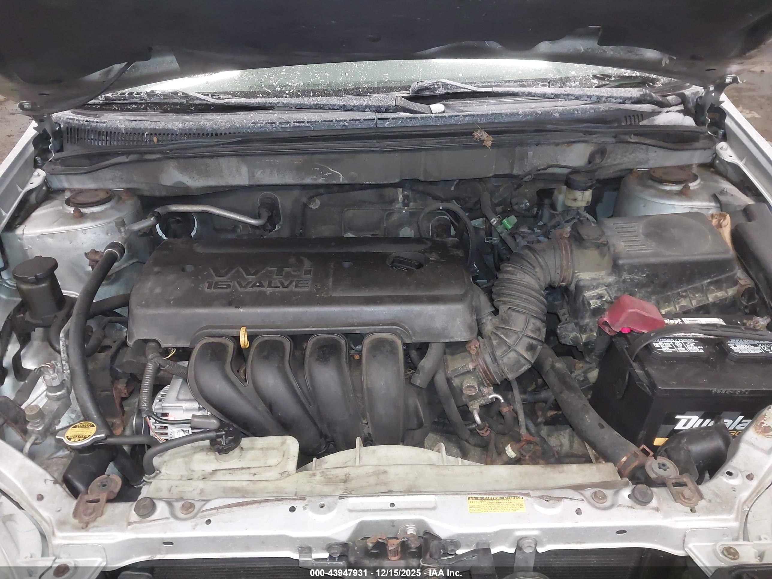 TOYOTA COROLLA image 10
