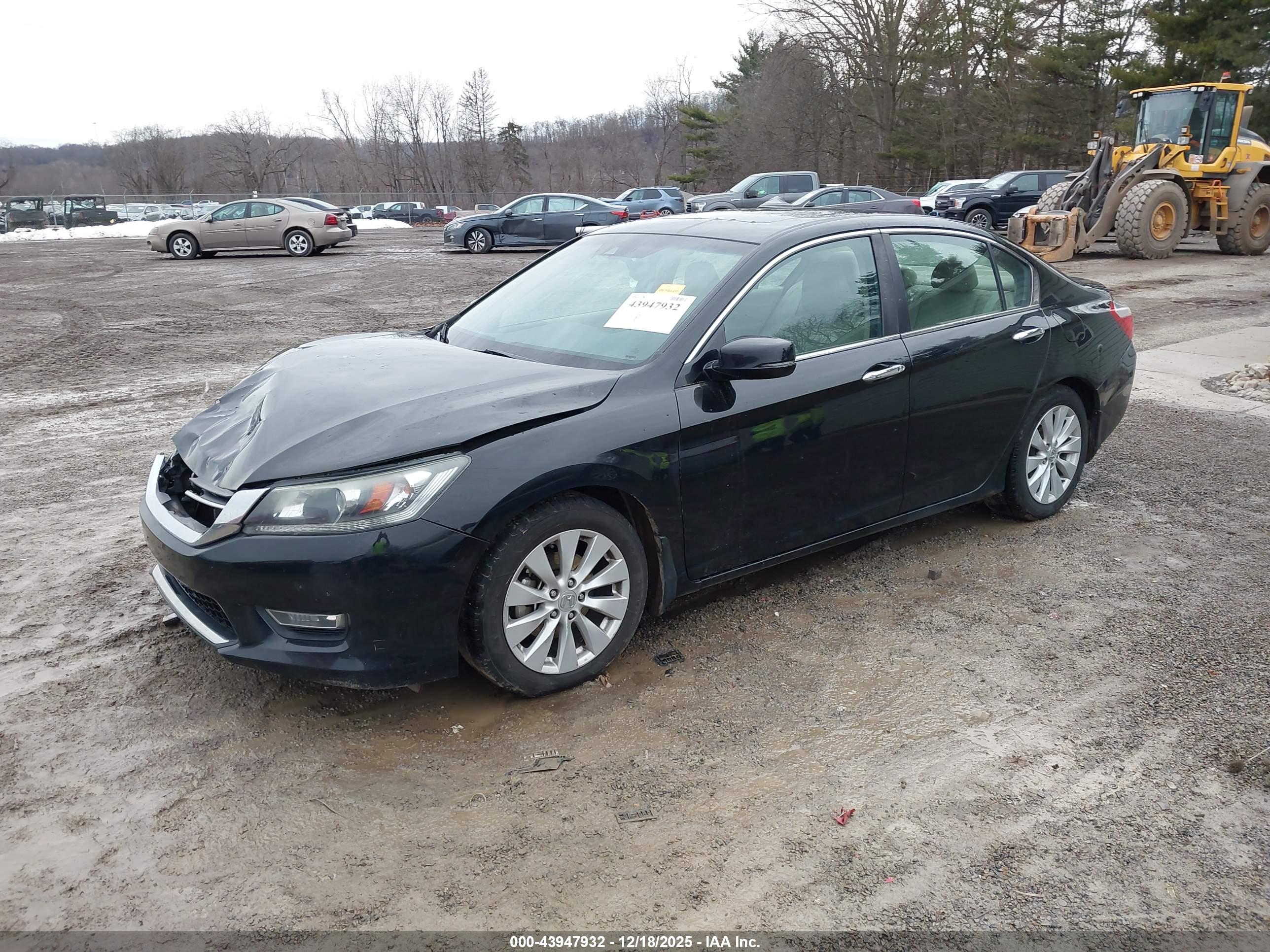 HONDA ACCORD image 2