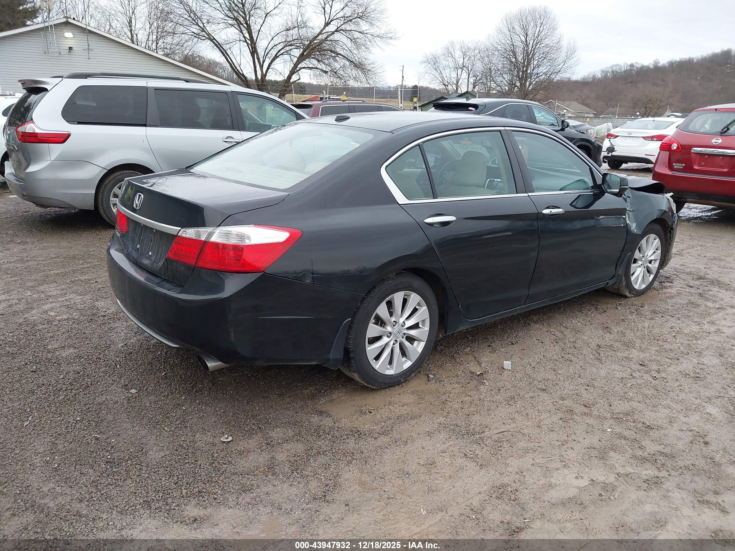 HONDA ACCORD image 4