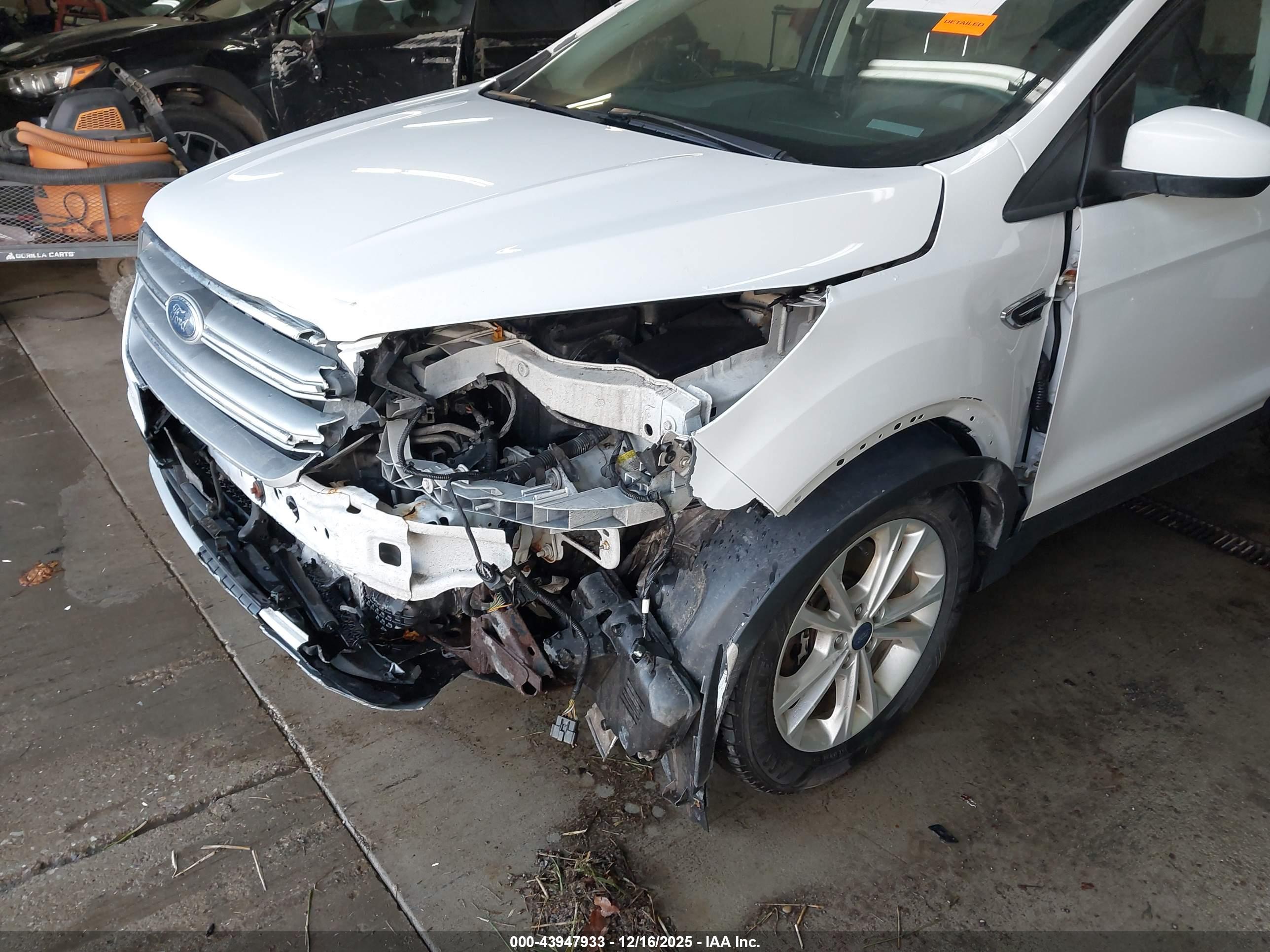 FORD ESCAPE image 6