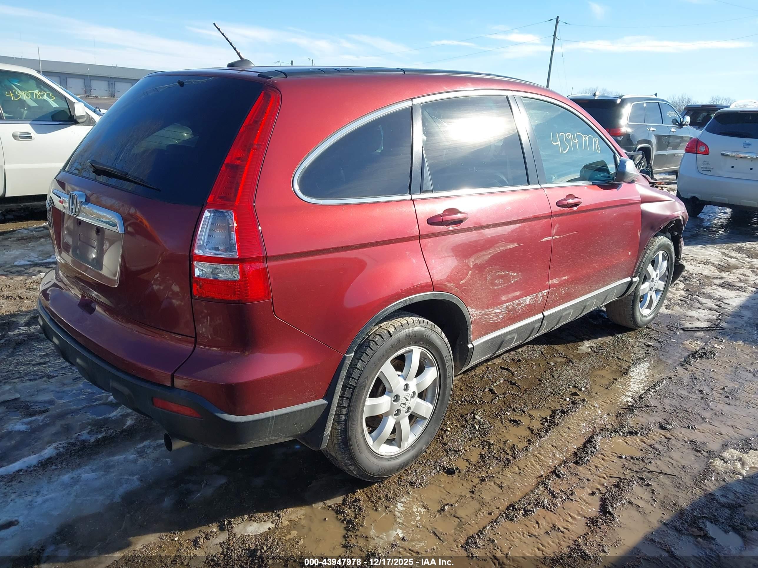 HONDA CR-V image 4
