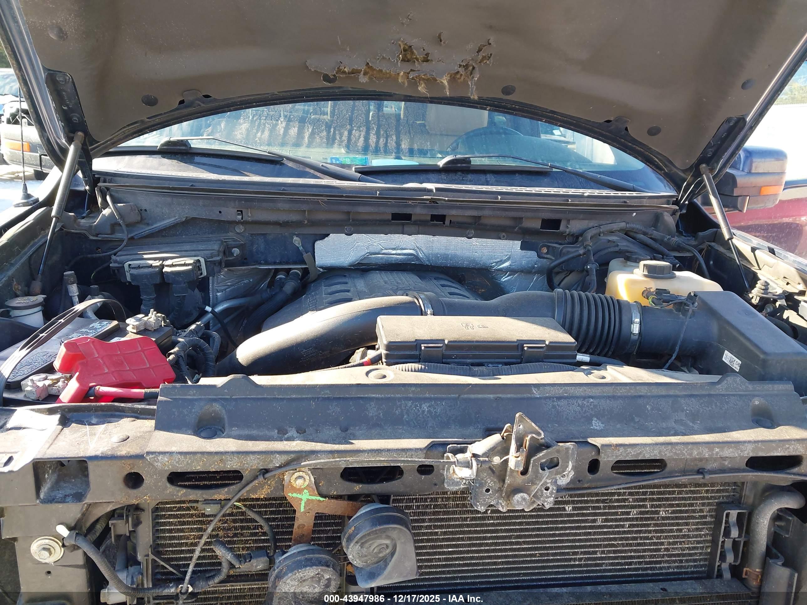 FORD F-150 image 10