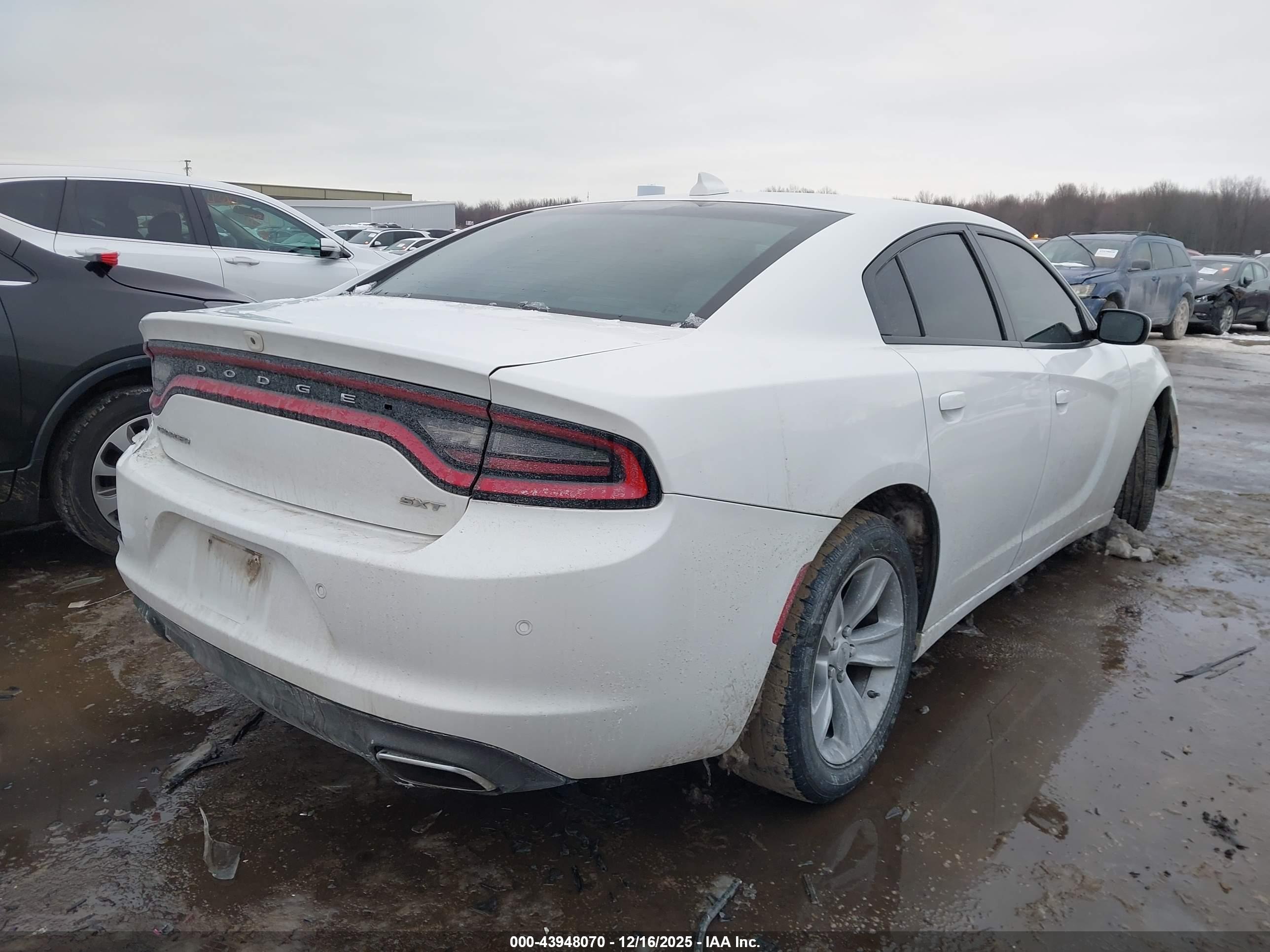 DODGE CHARGER image 4