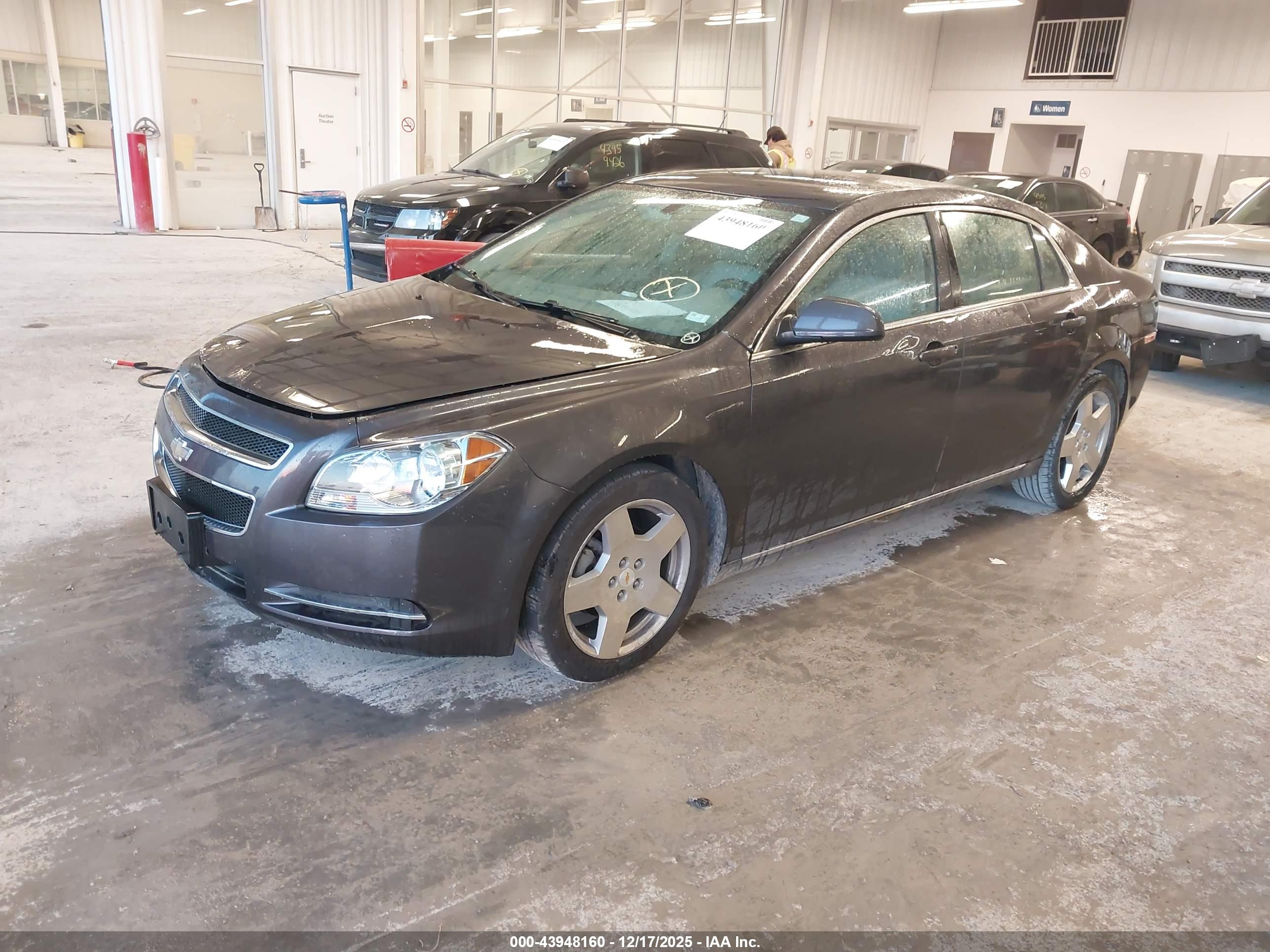 CHEVROLET MALIBU image 2