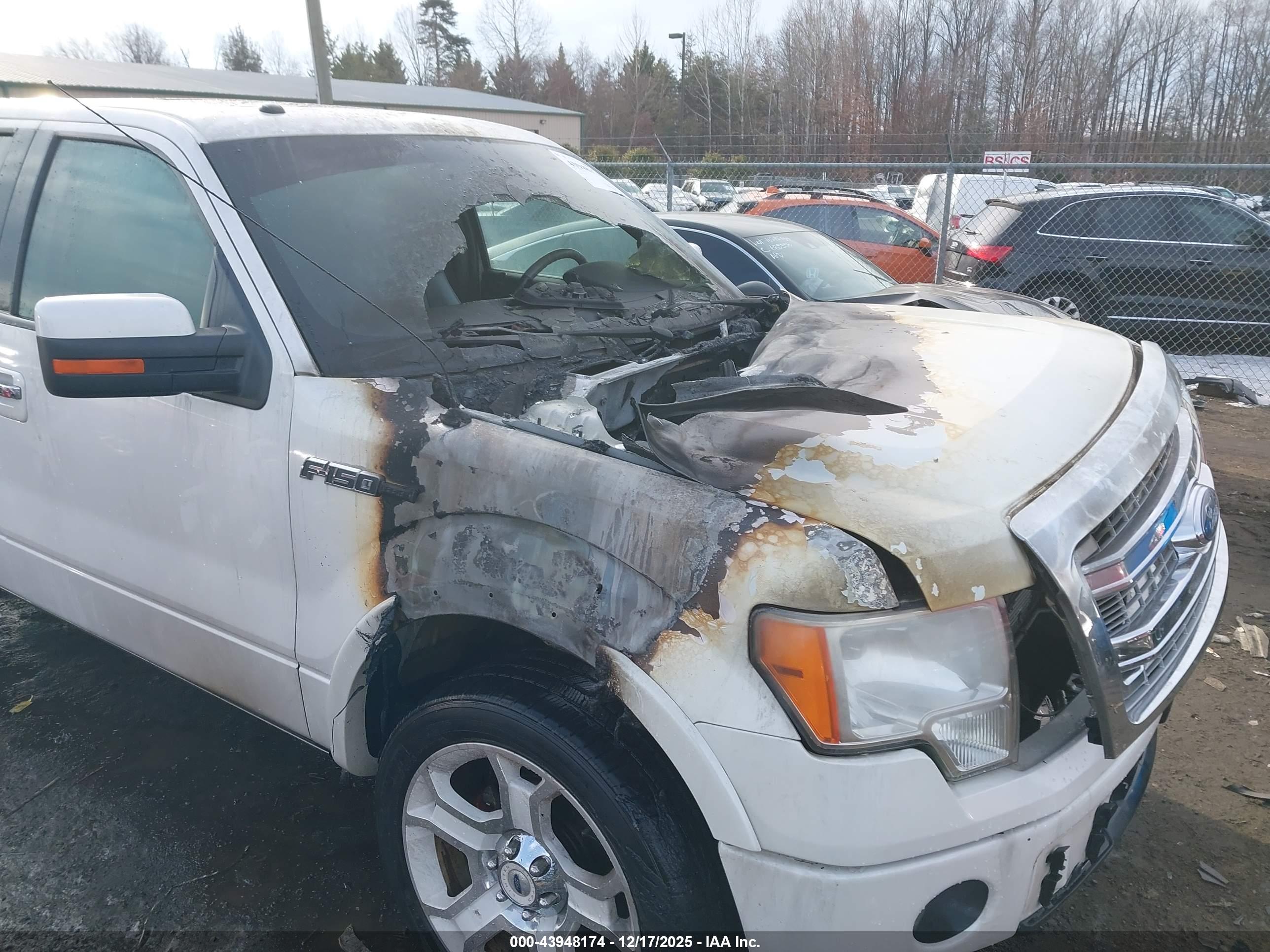 FORD F-150 image 6