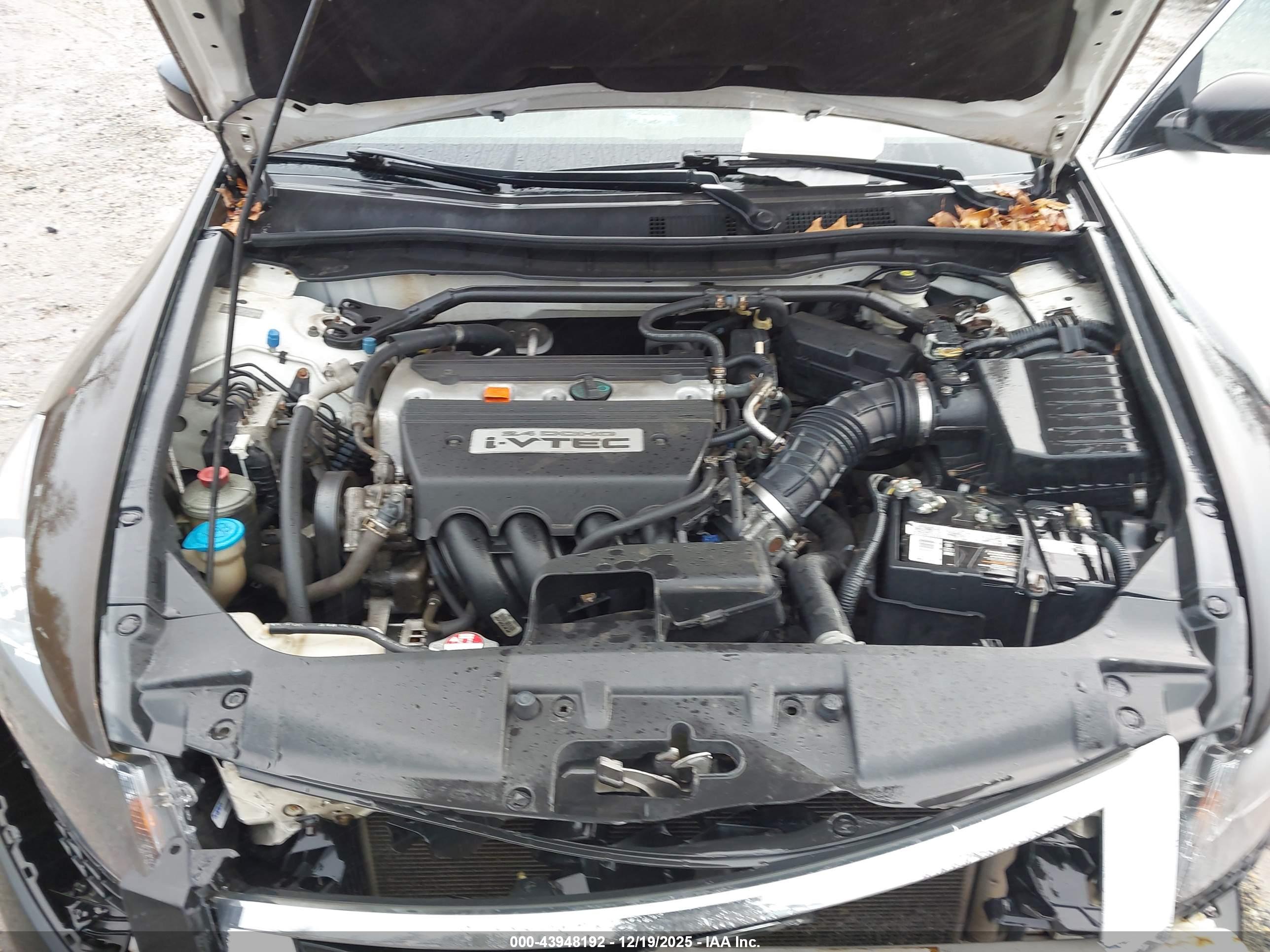 HONDA ACCORD image 10