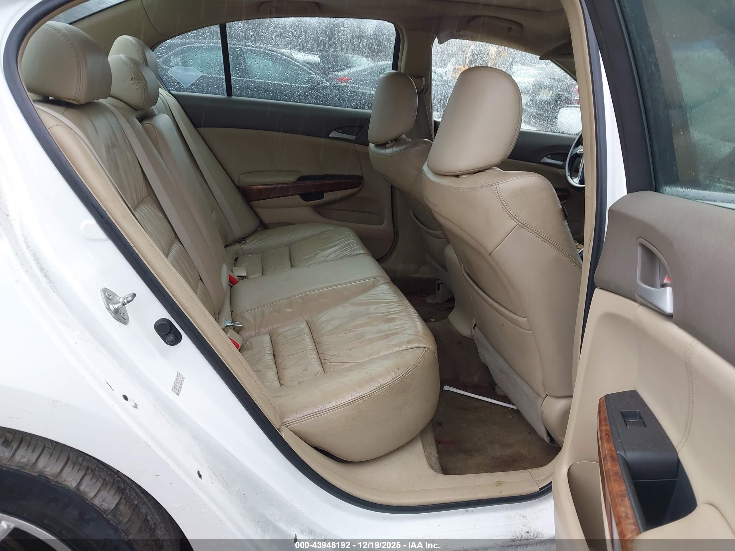 HONDA ACCORD image 8