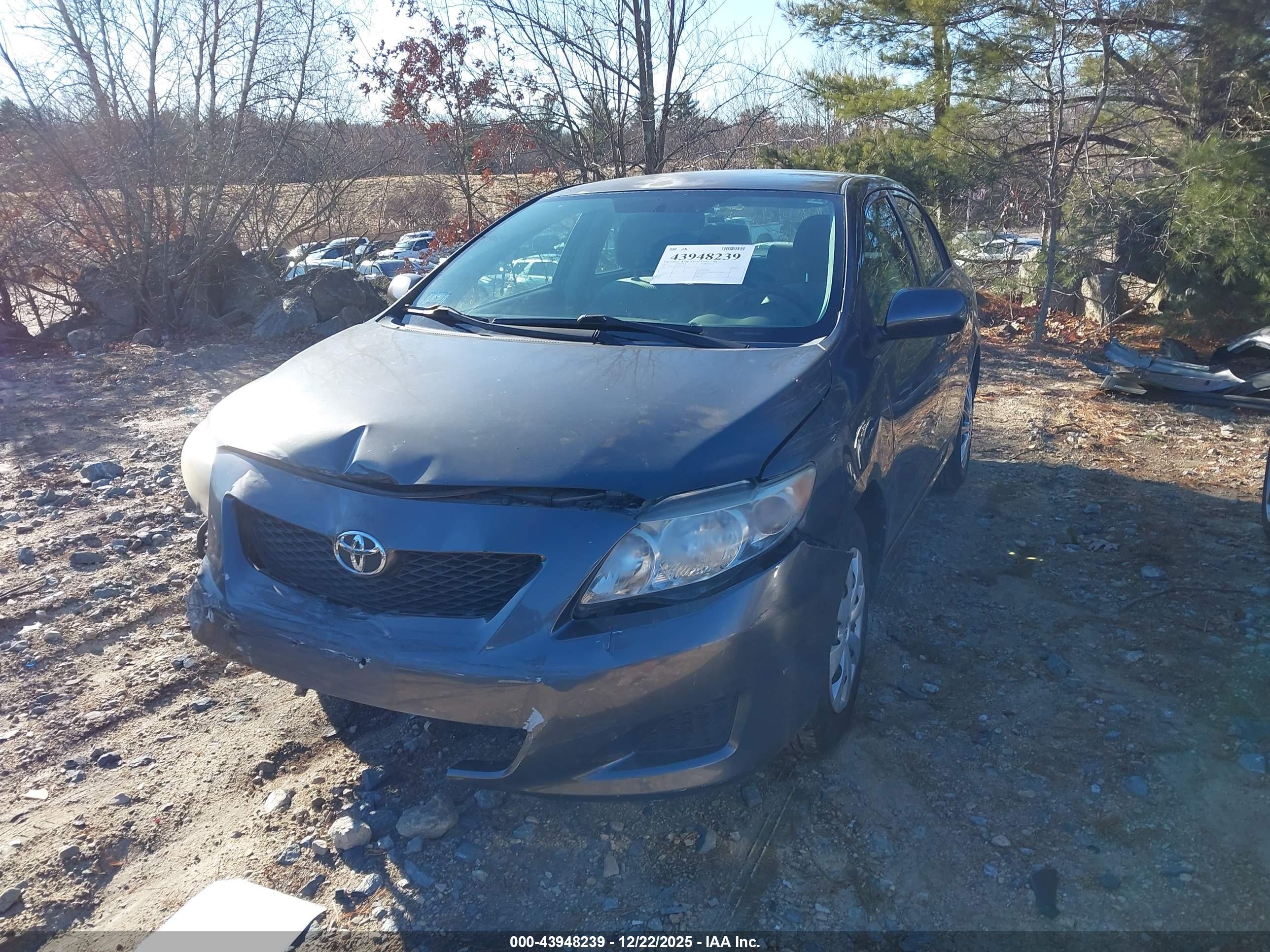 TOYOTA COROLLA image 2