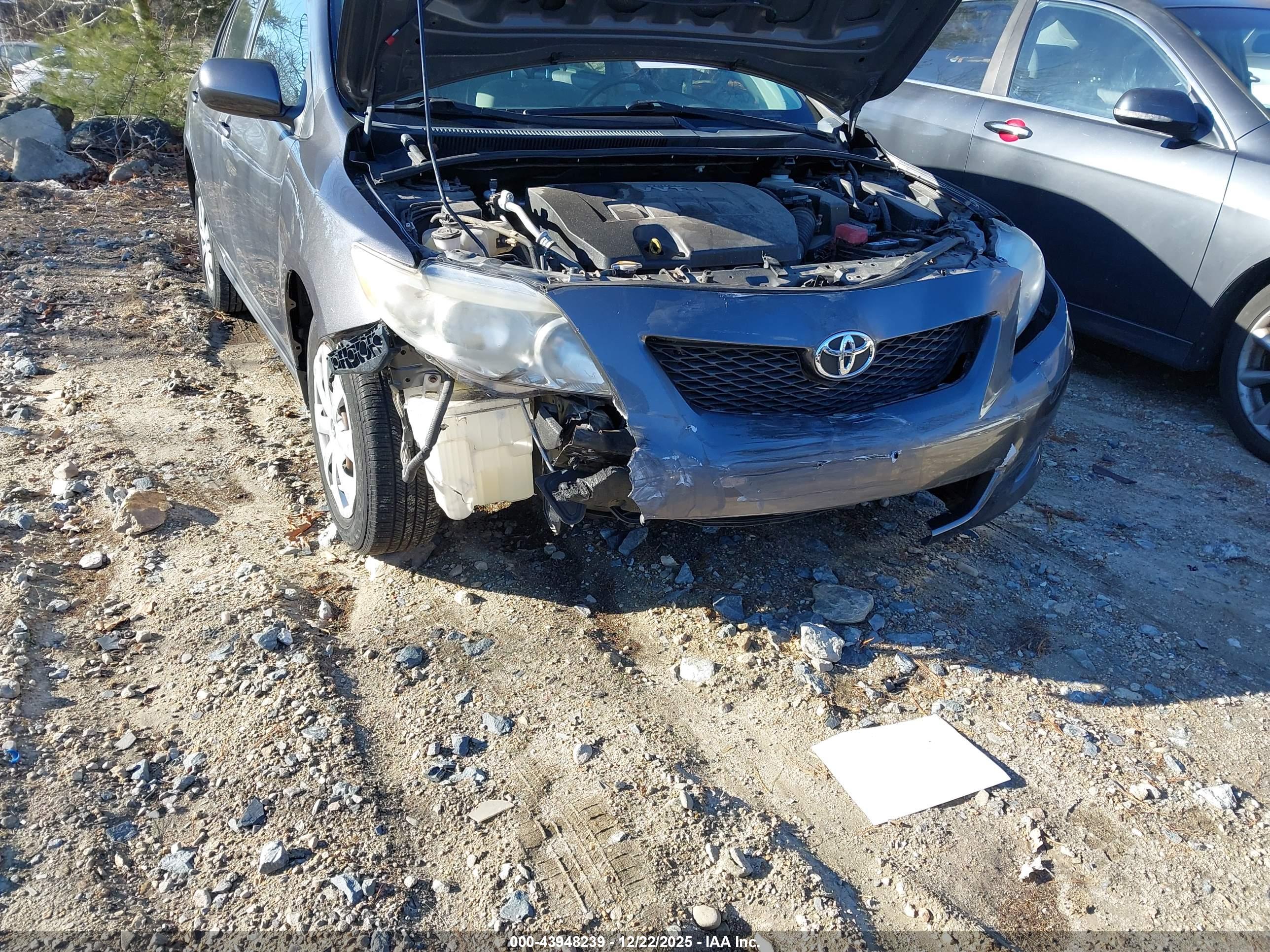 TOYOTA COROLLA image 6