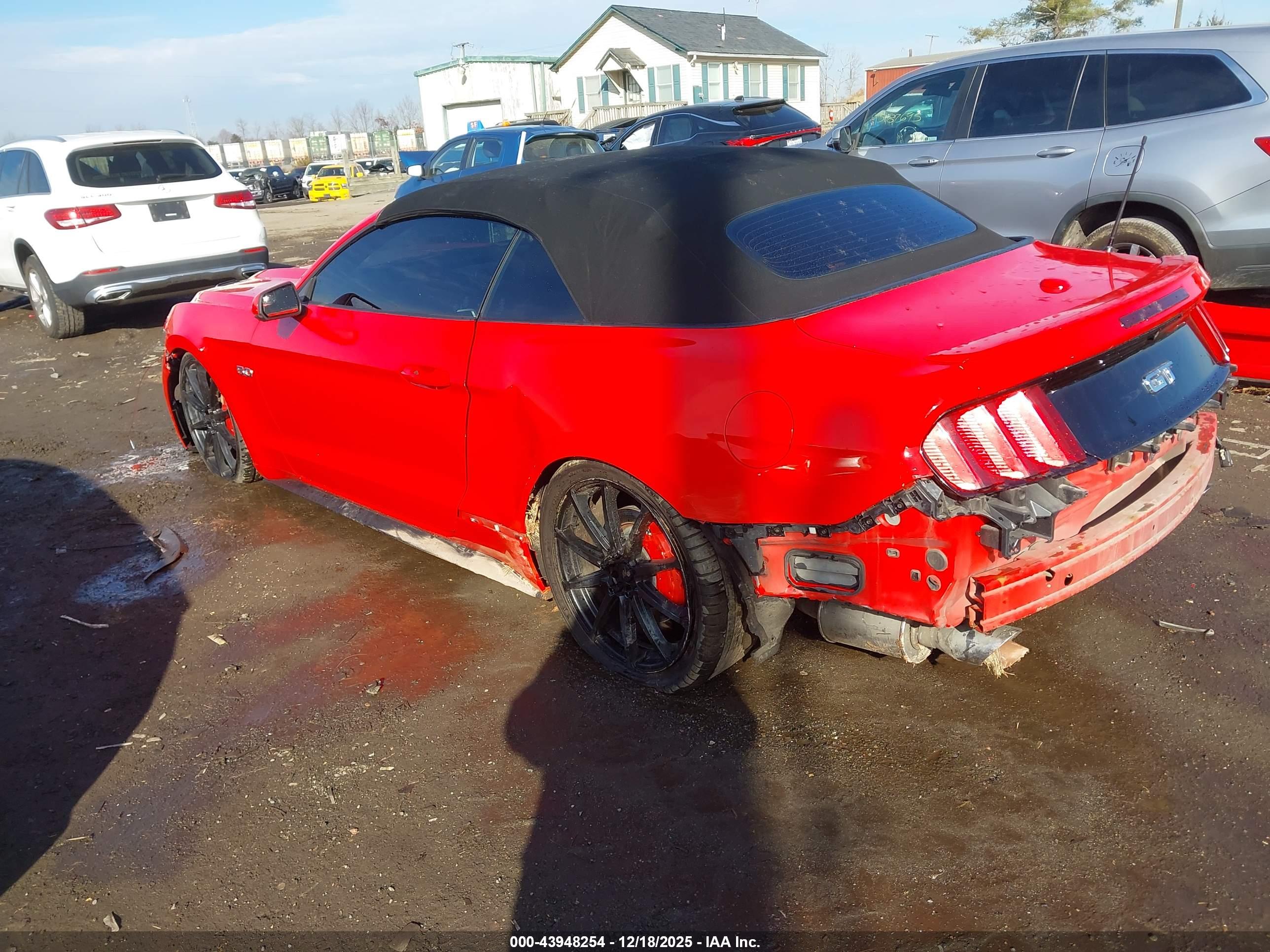 FORD MUSTANG image 3
