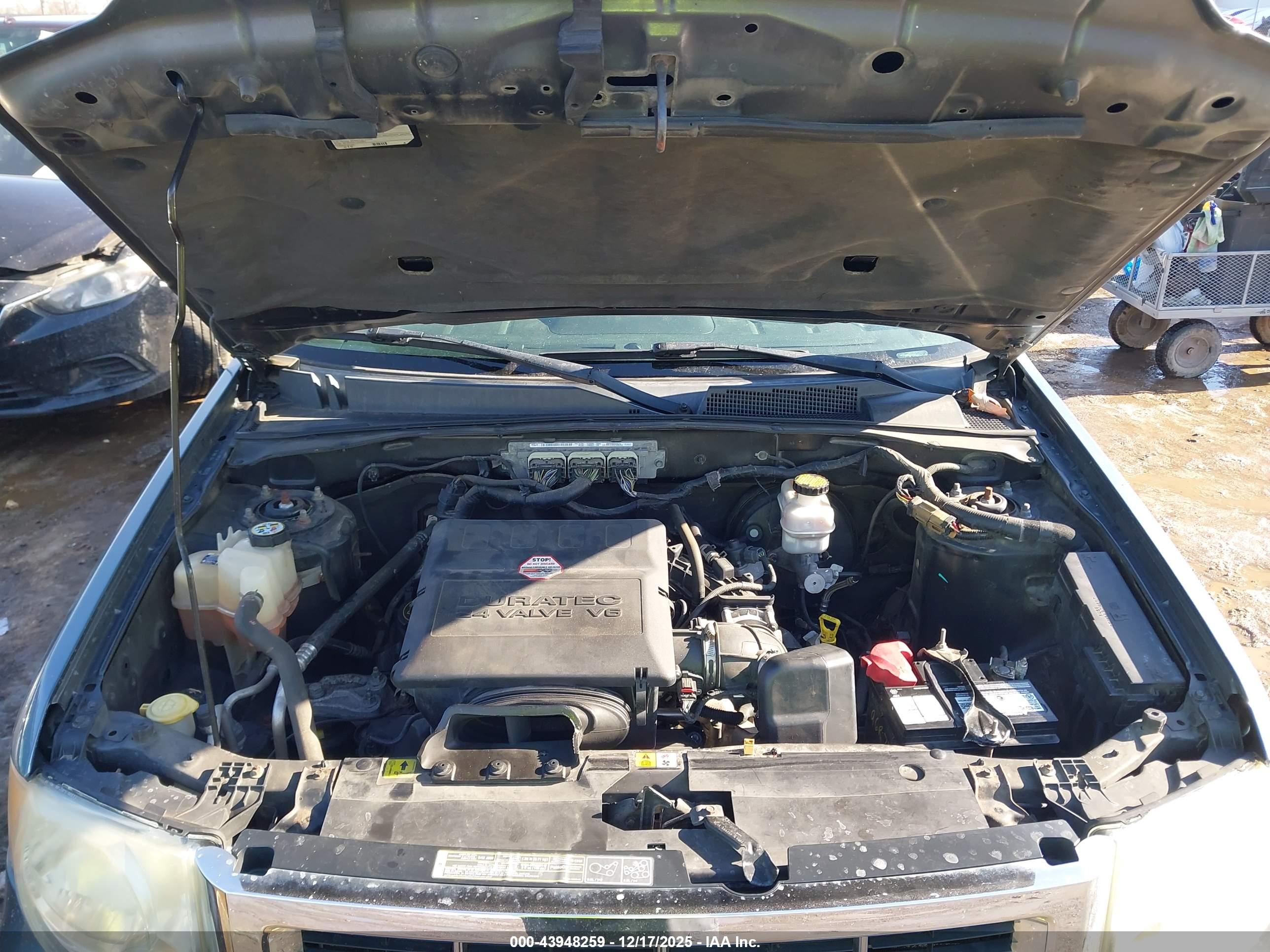 FORD ESCAPE image 10