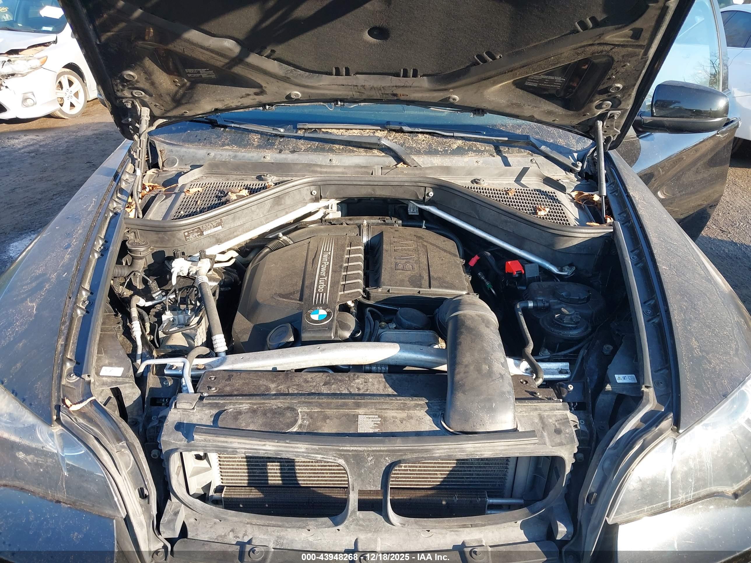 BMW X6 image 10