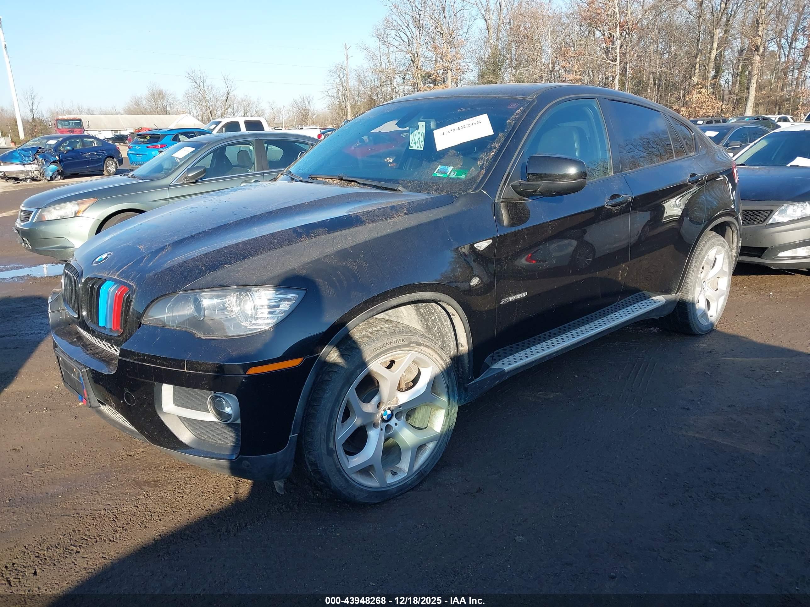 BMW X6 image 2