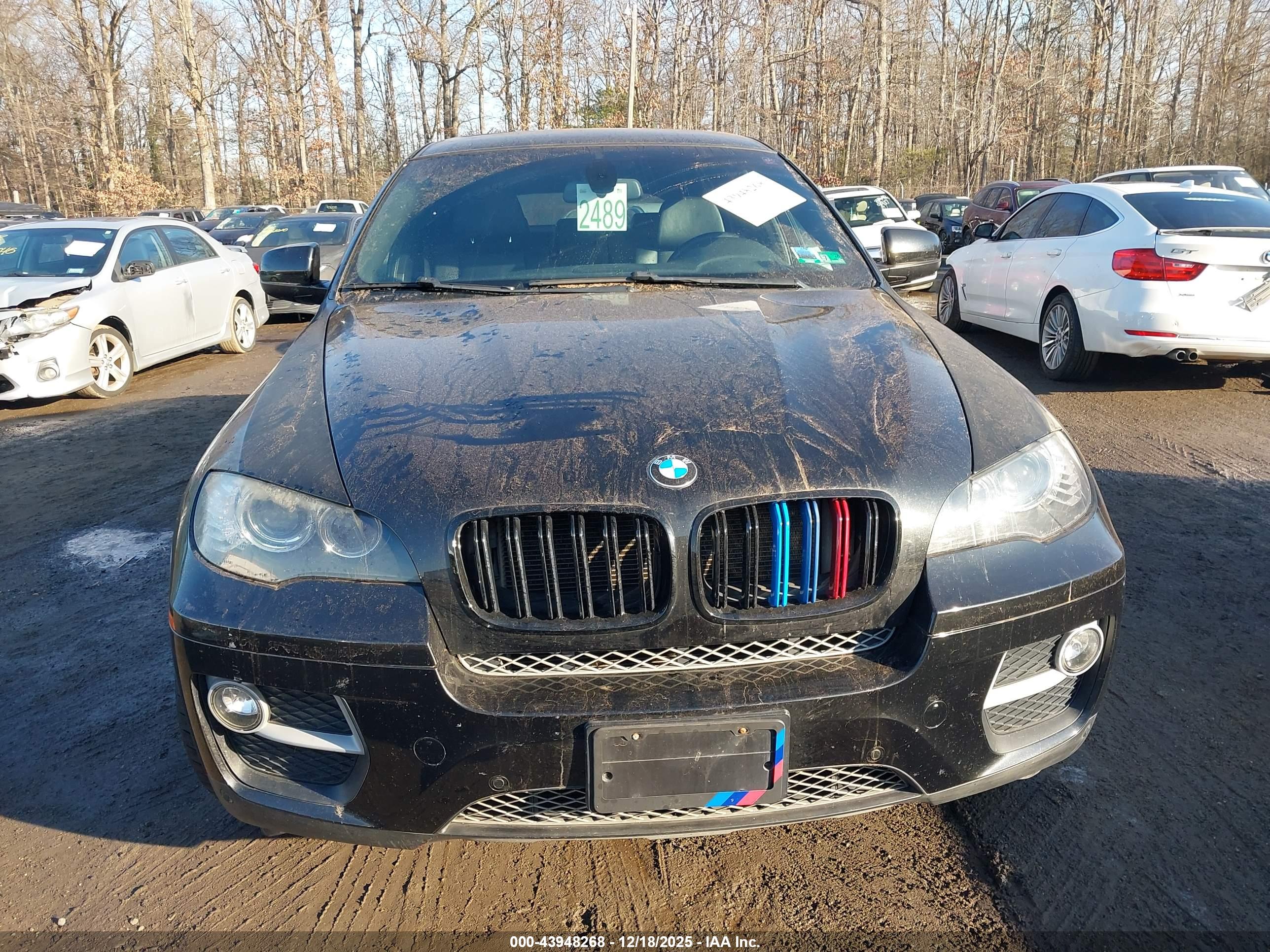 BMW X6 image 6