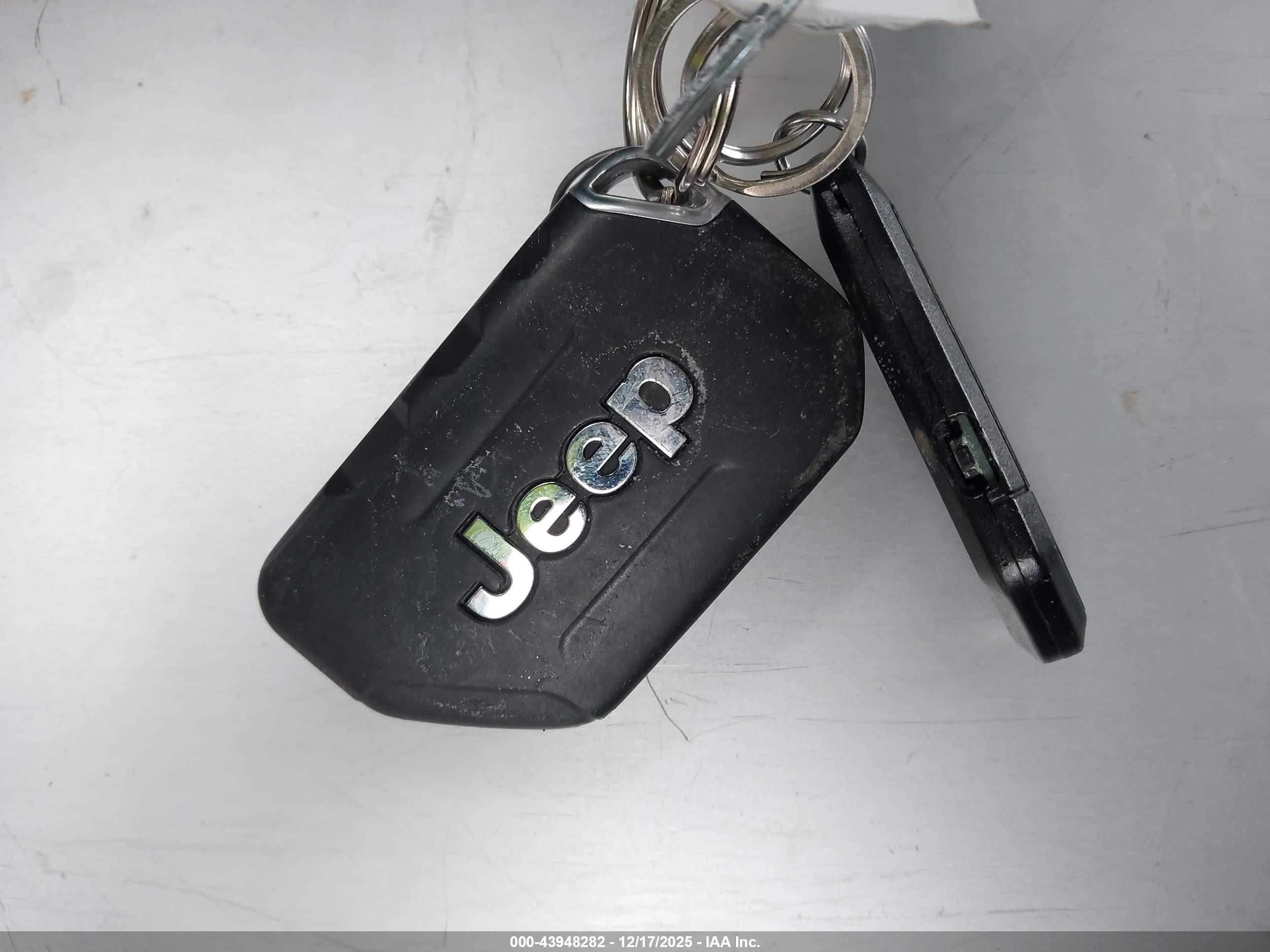 JEEP WRANGLER image 11