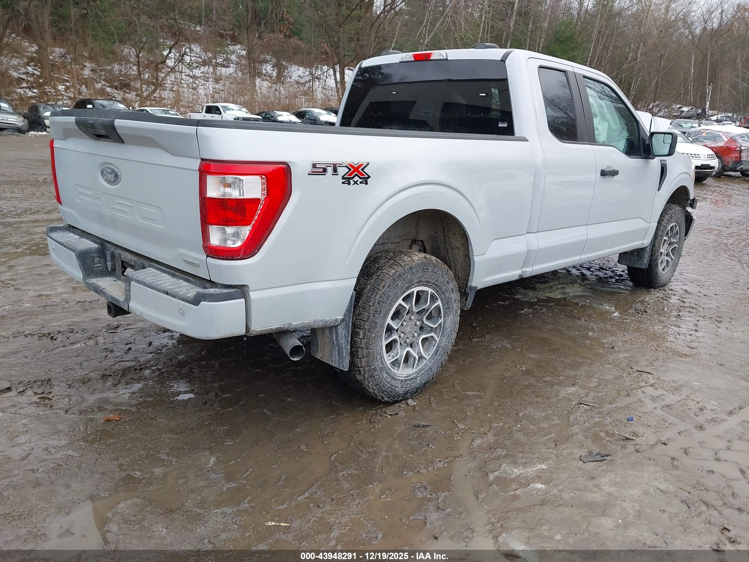 FORD F-150 image 4