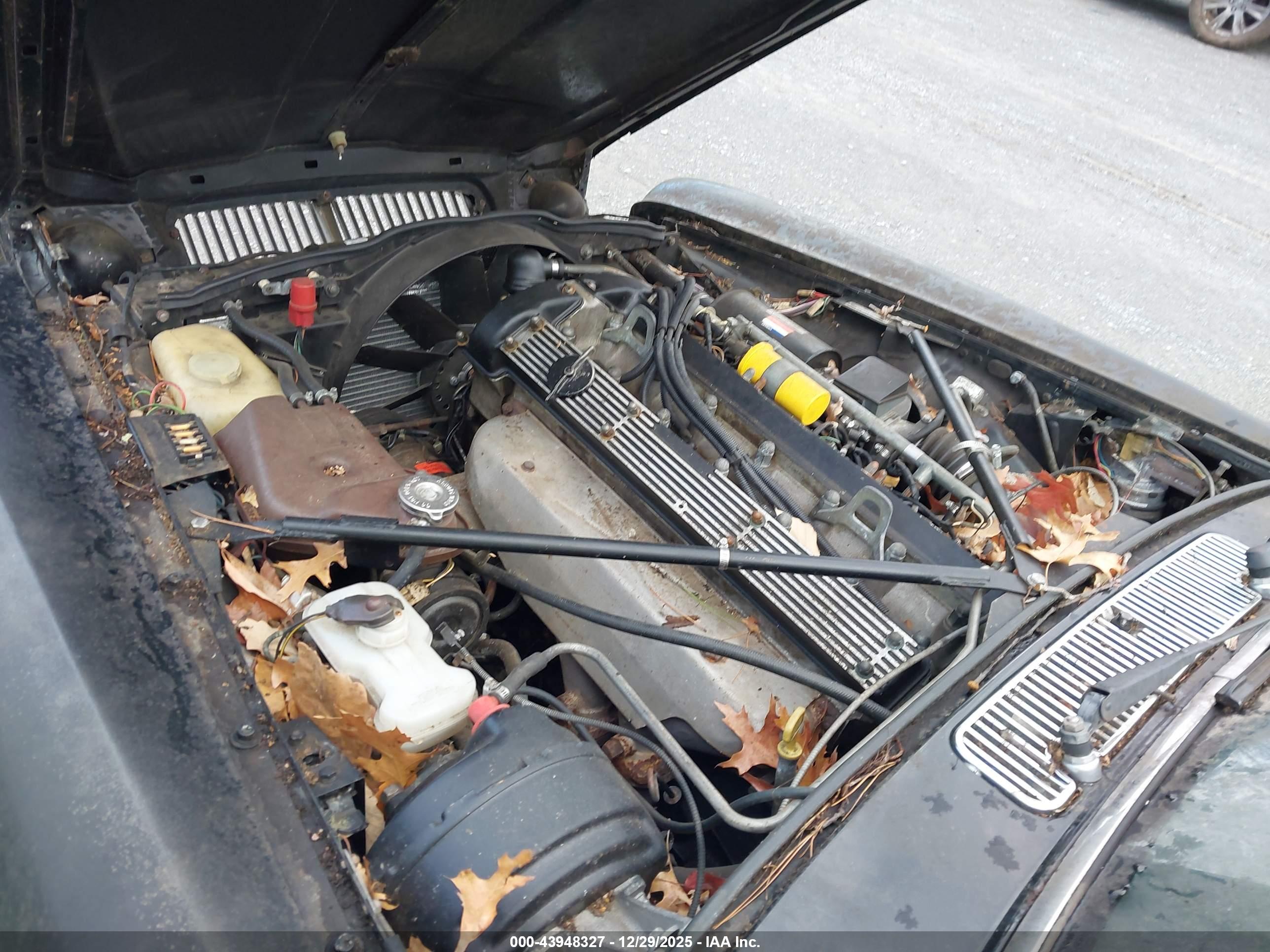 JAGUAR XJ6 image 10