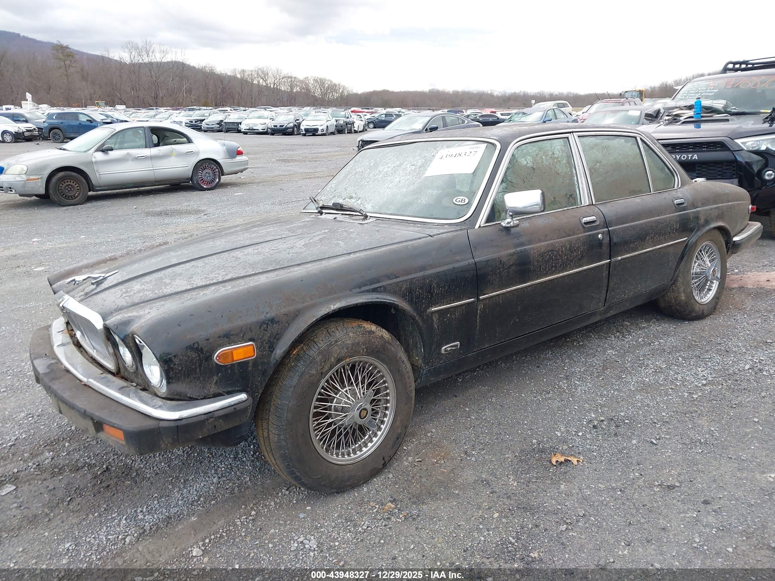 JAGUAR XJ6 image 2