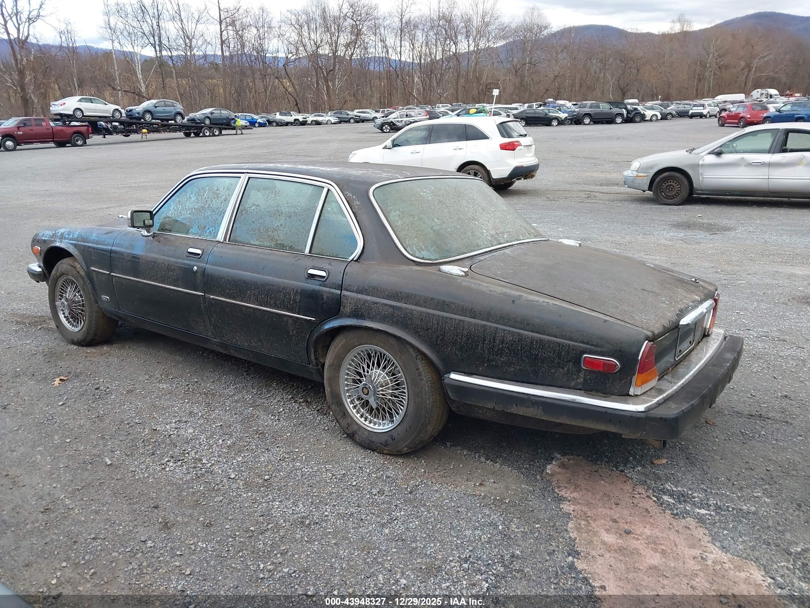 JAGUAR XJ6 image 3