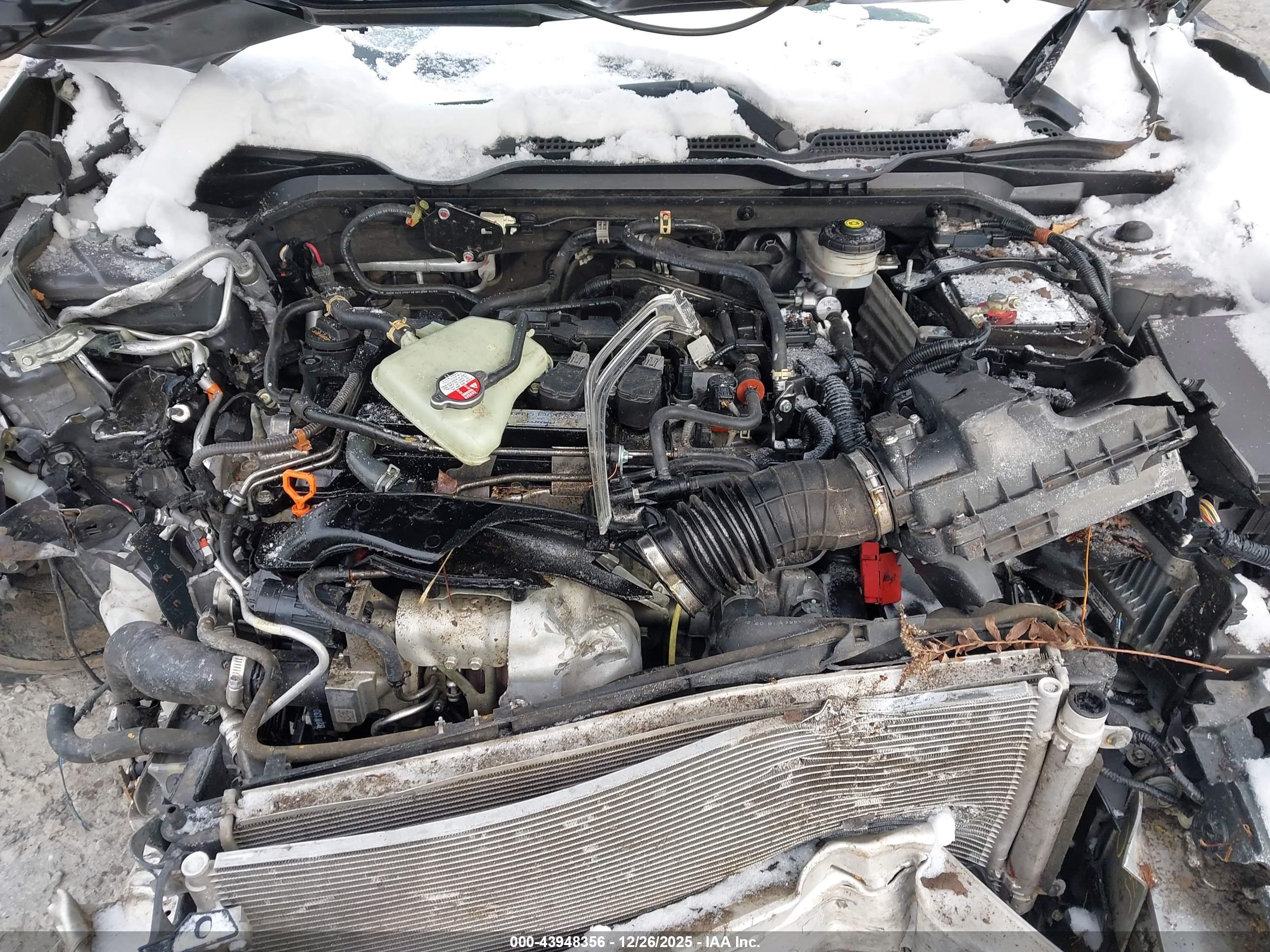 HONDA CIVIC image 10