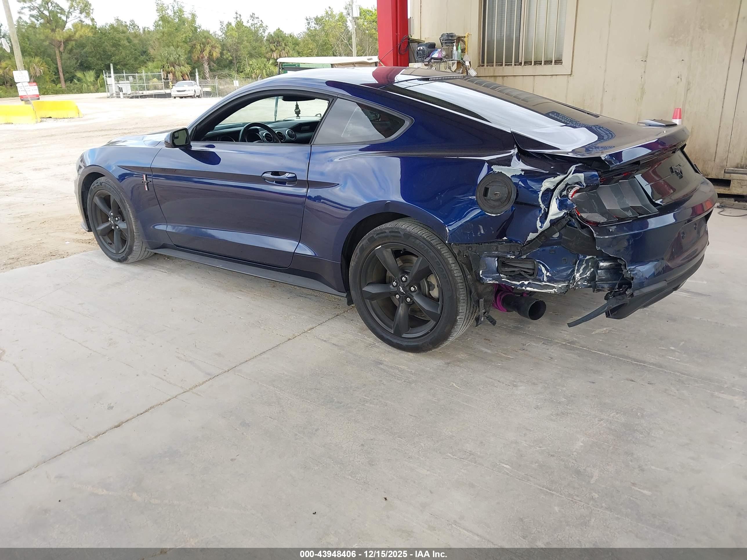 FORD MUSTANG image 3